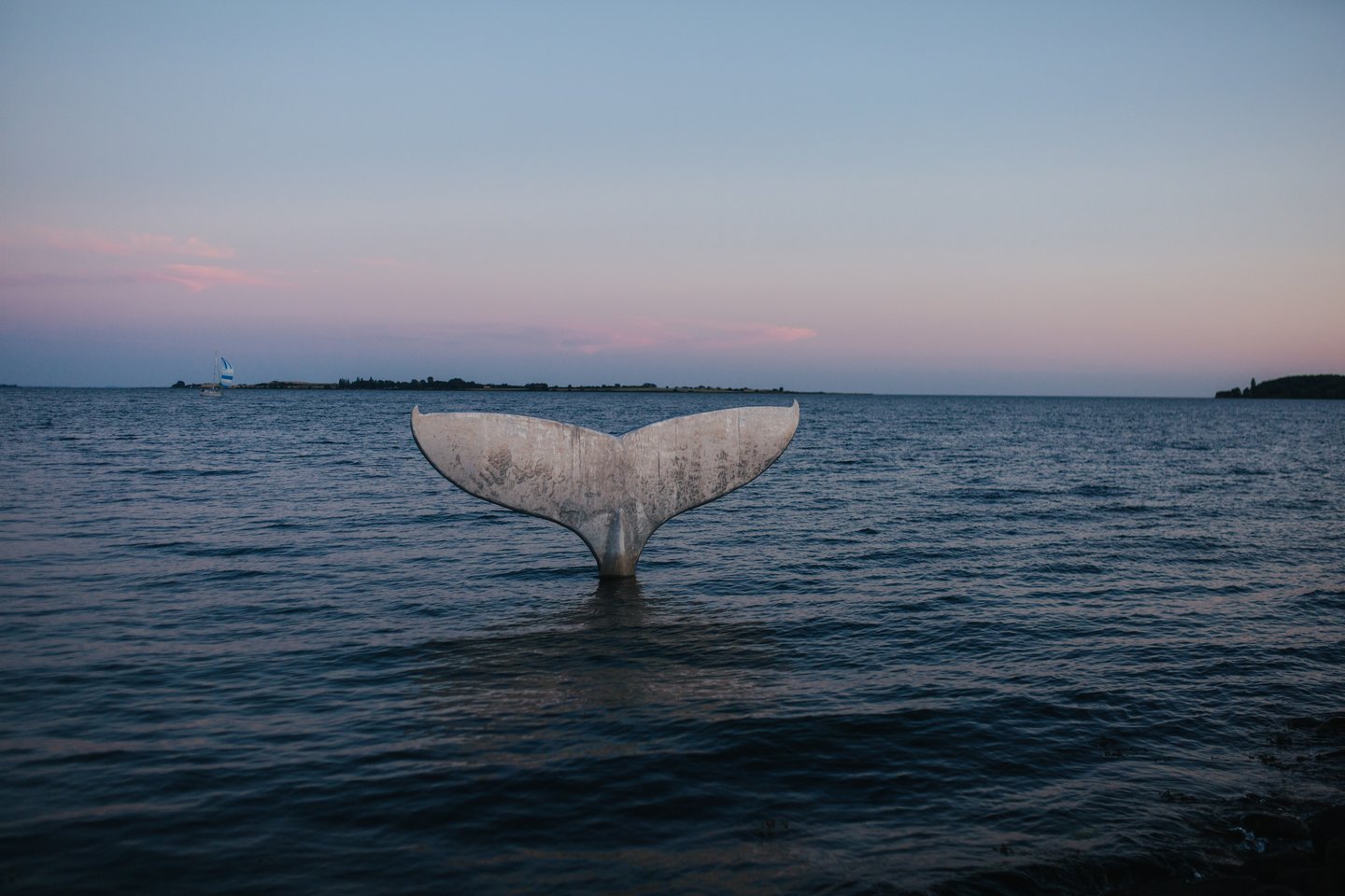 Fake whale tail in Faaborg Harbour Bath, Fyn