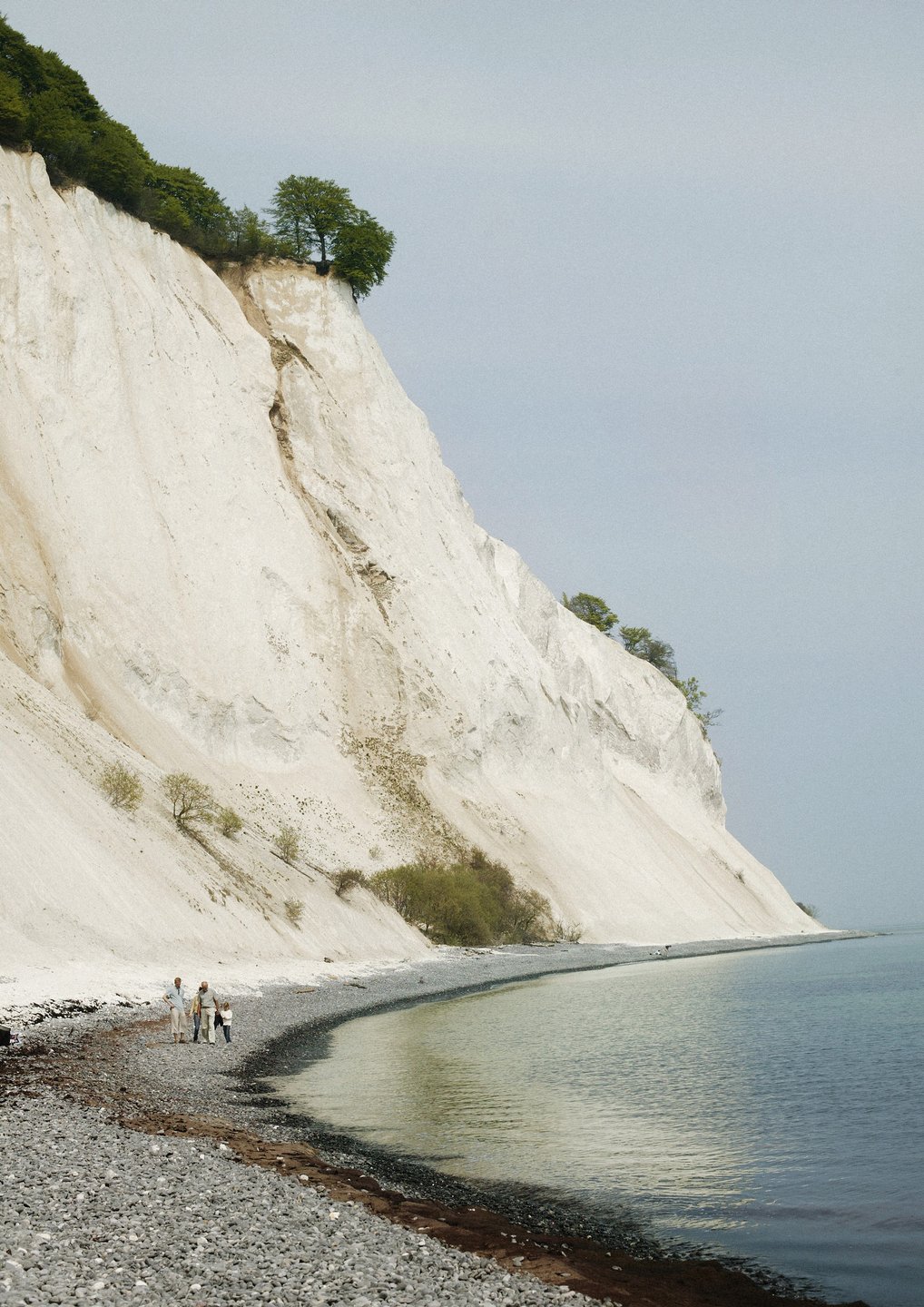 Denemarken vakantie? Ontdek de natuur nabij Kopenhagen, zoals Møns Klint