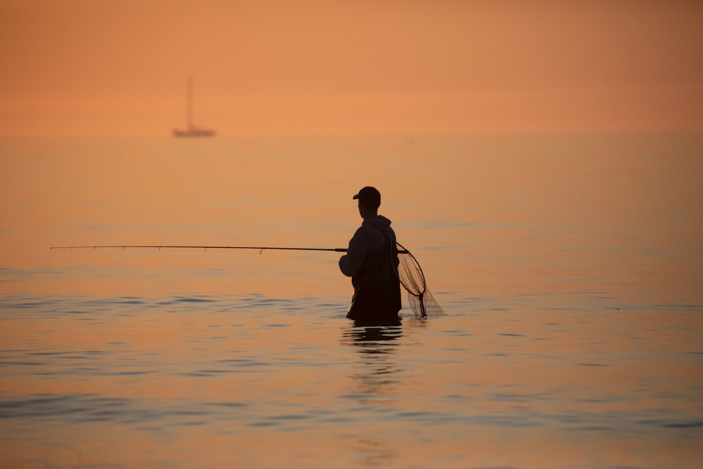 Fisher in the water at Skagen
