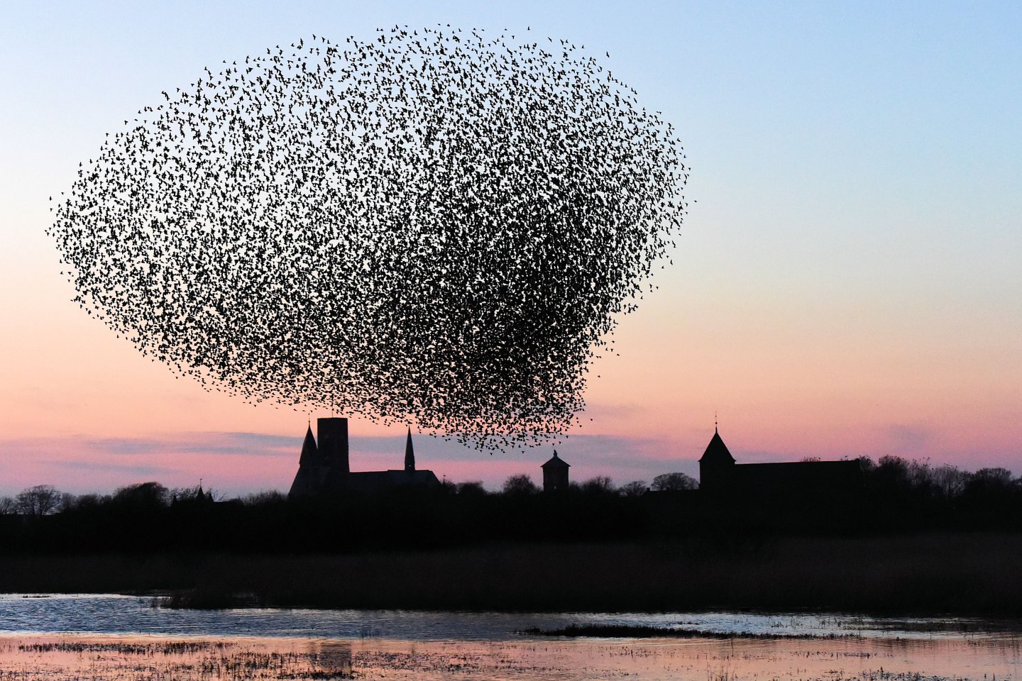 Denemarken vakantie? Ontdek het Deense Waddenzeegebied en zie de Sort Sol