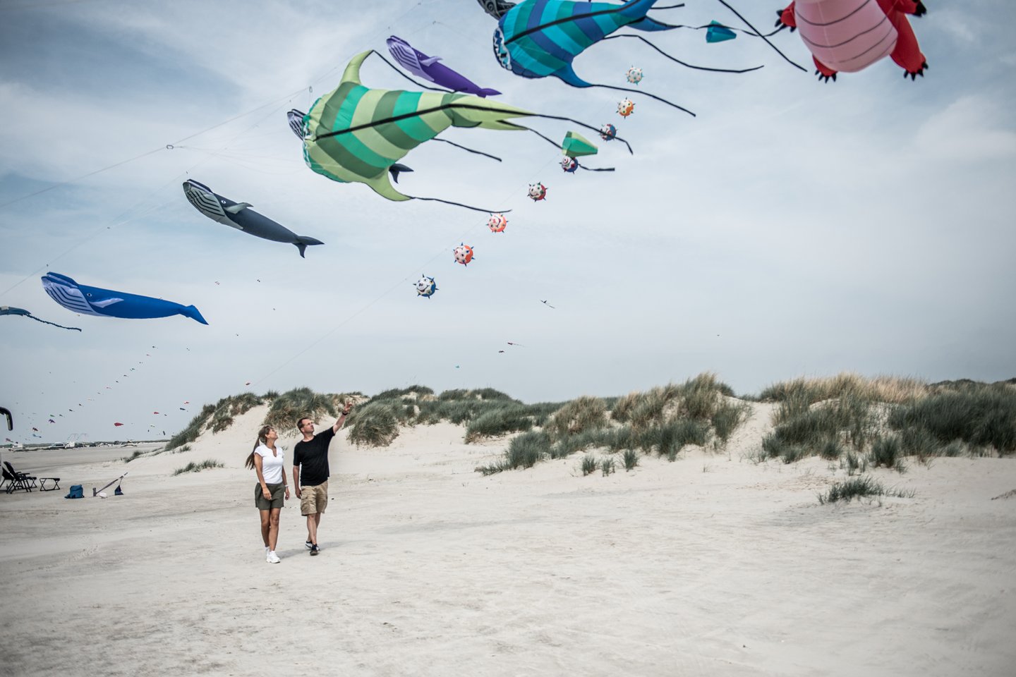 Denemarken vakantie? Ontdek de mooie stranden van Fanø