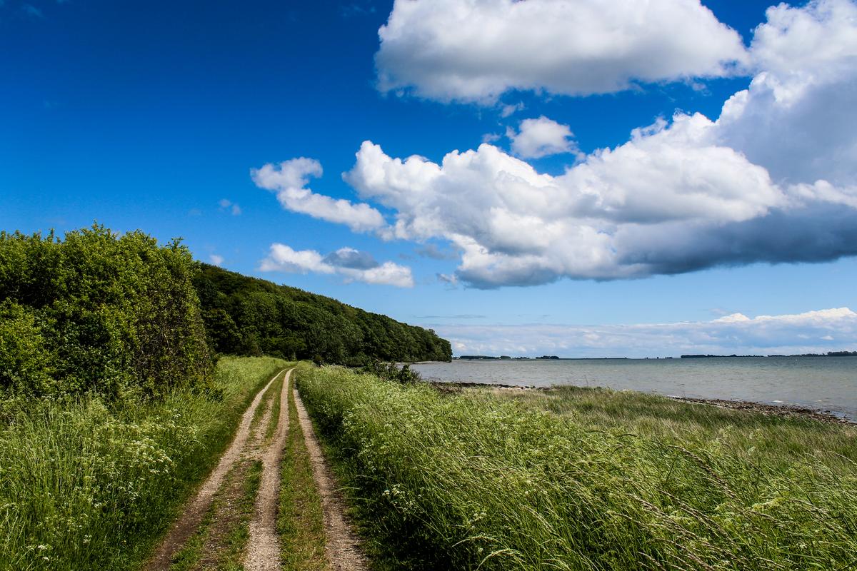 Udsigt over Horsens Fjord