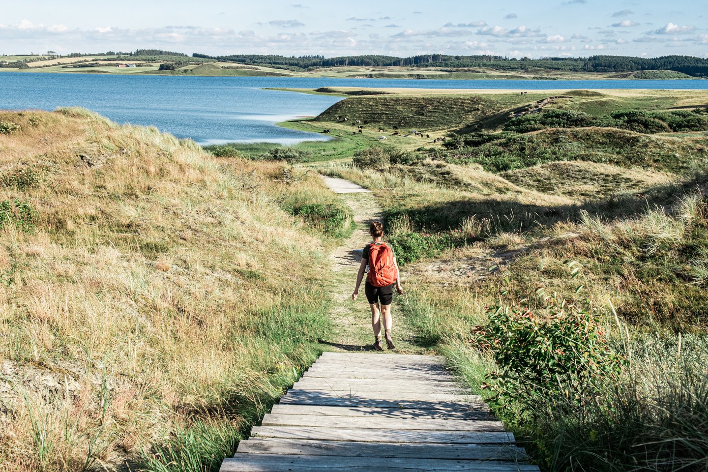 Wandelvakantie? Ontdek Thy Nationalpark in Denemarken