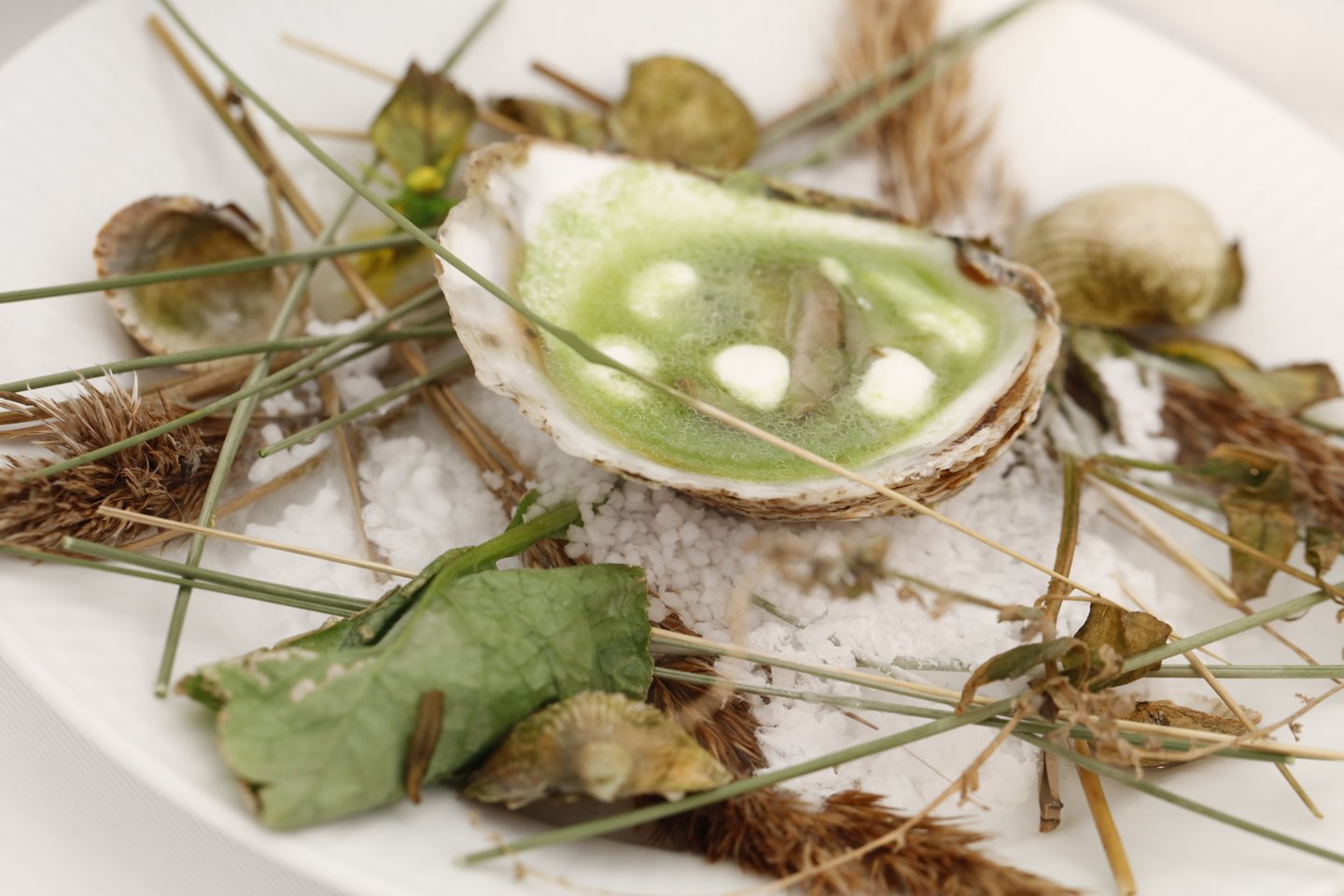 De beste oesters en mosselen? Je vindt ze op deze vakantiebestemming!!