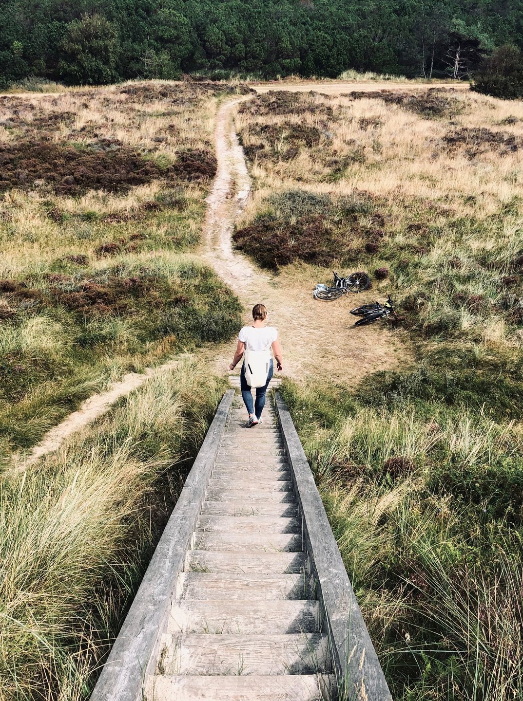Spidsbjerg auf der süddänischen Insel Rømø