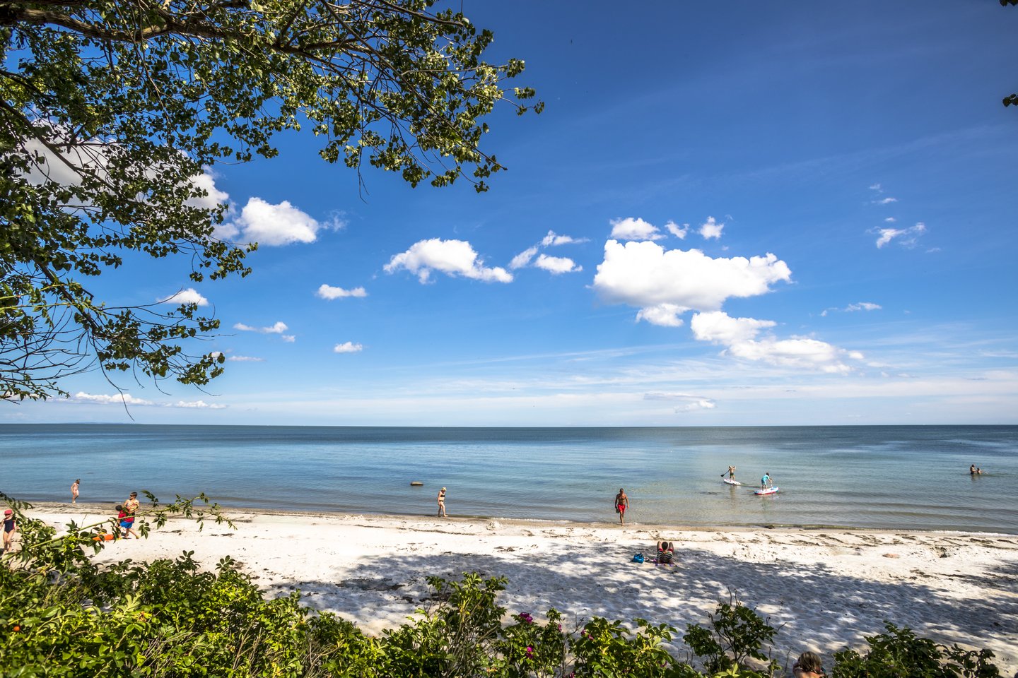 Strand i Lolland-Falster, Danmark