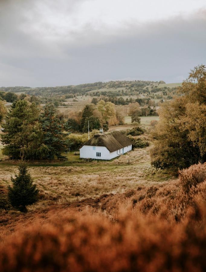 Overnachten in de natuur. Ontdek Denemarken