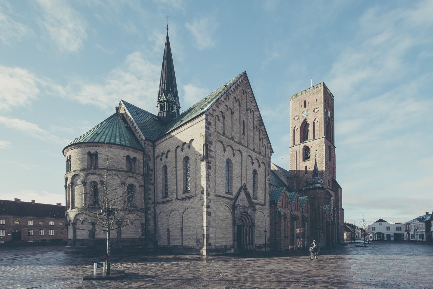 Bild von Ribe Dom
