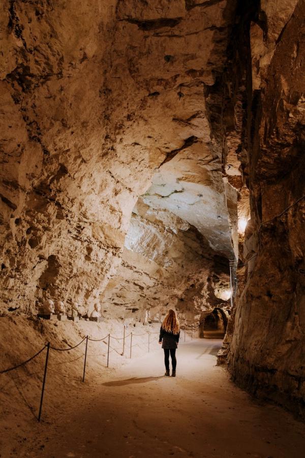 Denemarken vakantie? Ontdek dit prachtige natuurgebied