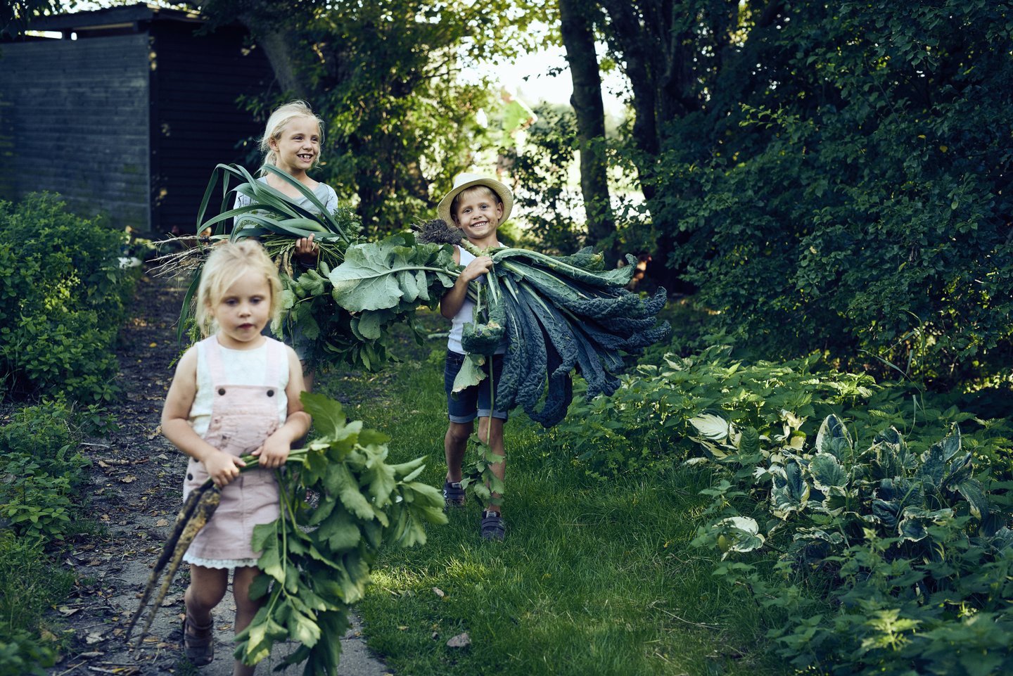 Children harvesting greens in North Jutland, Denmark