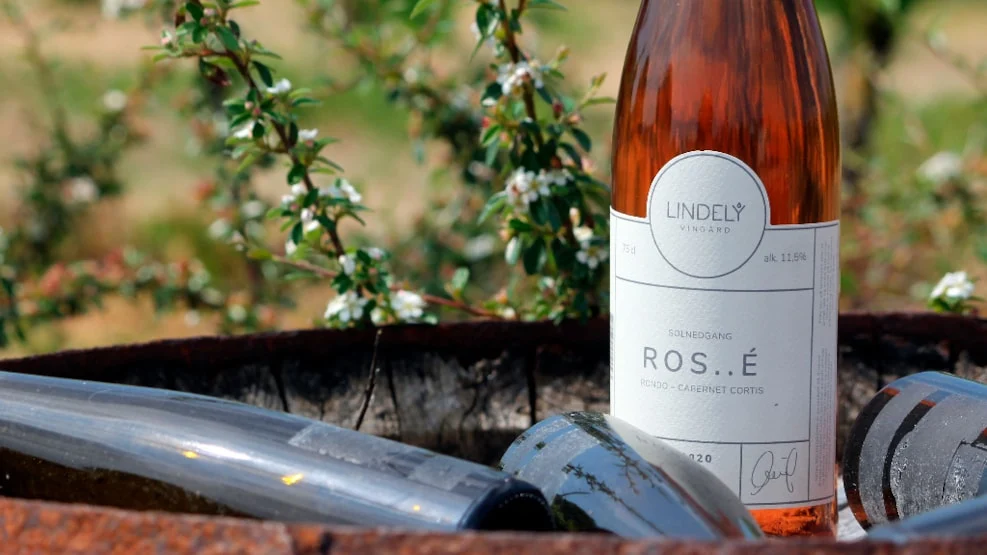 En flaske rosé på en vintønde på vingården Lindely i Kolding