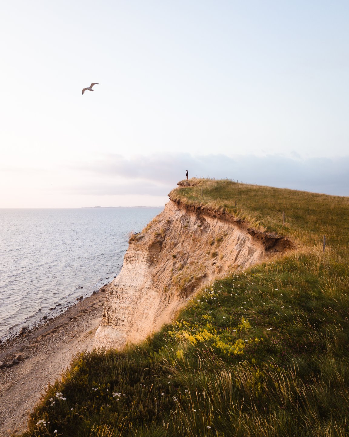 Person standing at the Limfjord on a cliff, Denmark
