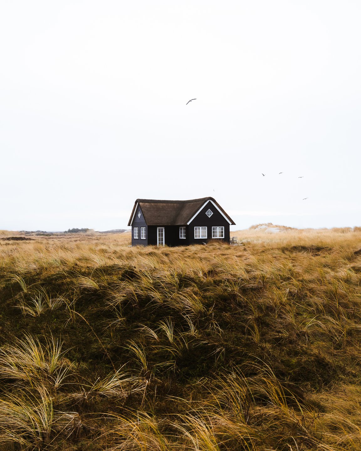Summerhouse in Nymindegab in the dunes of Westjutland, Denmark