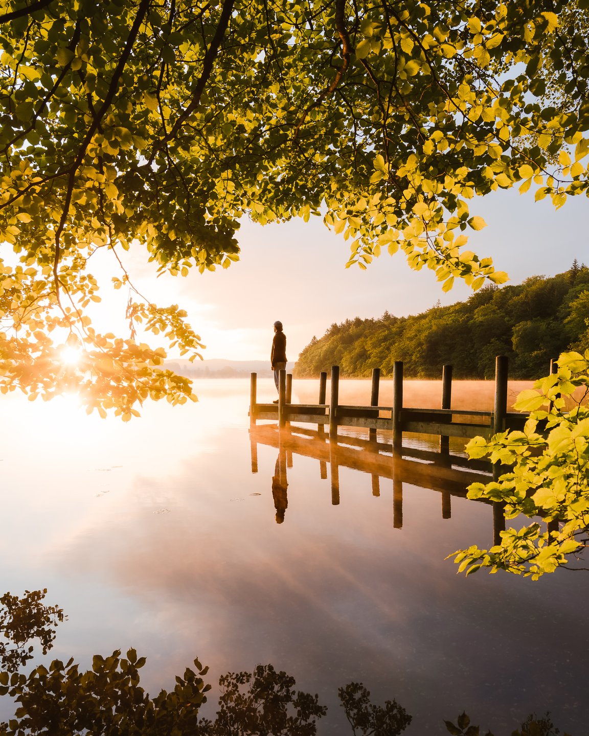 Man standing at the  Borre Sø in the sunset, Silkeborg, Denmark