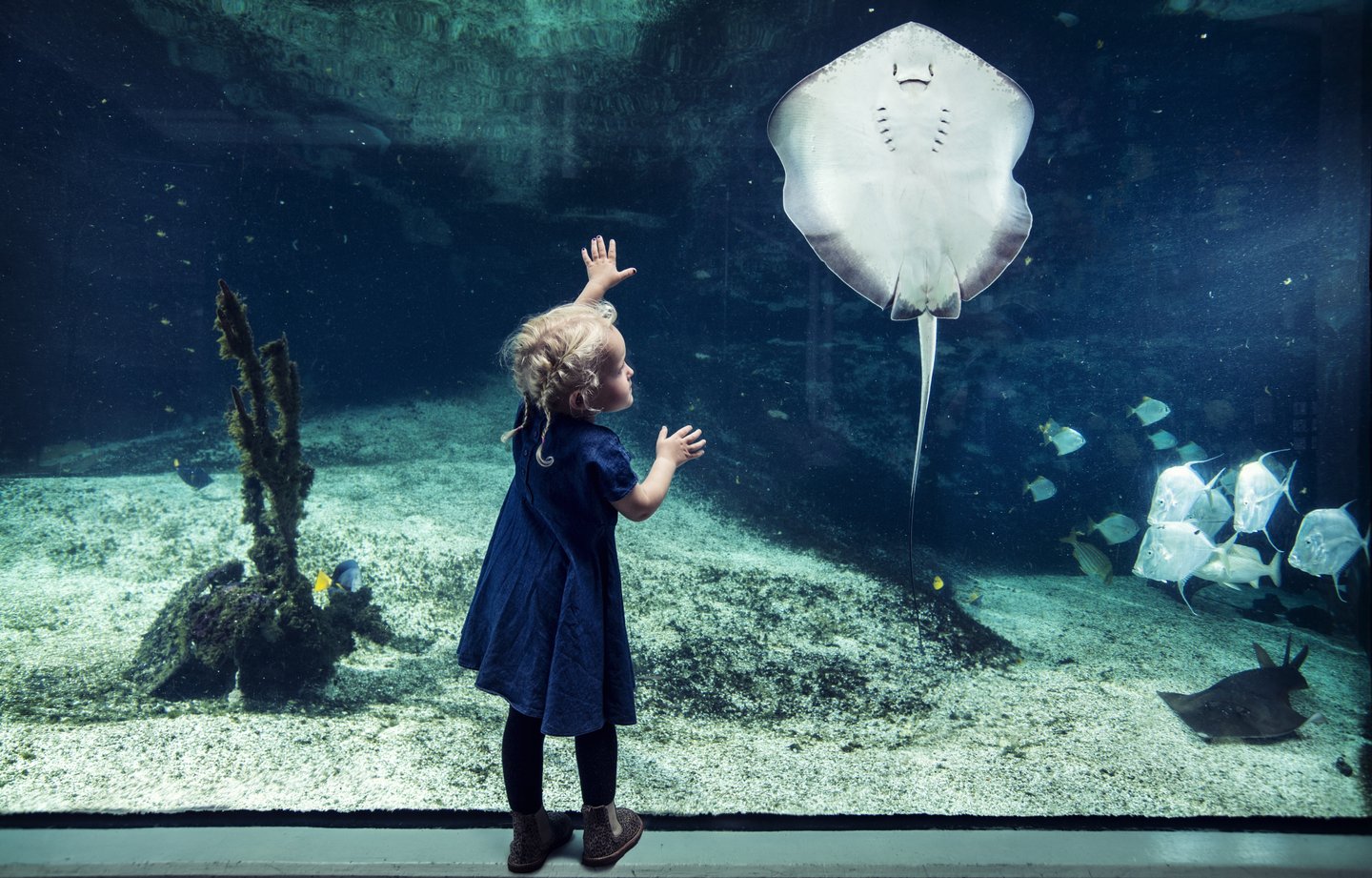 Child at Kattegatcenteret in Grenå near Aarhus