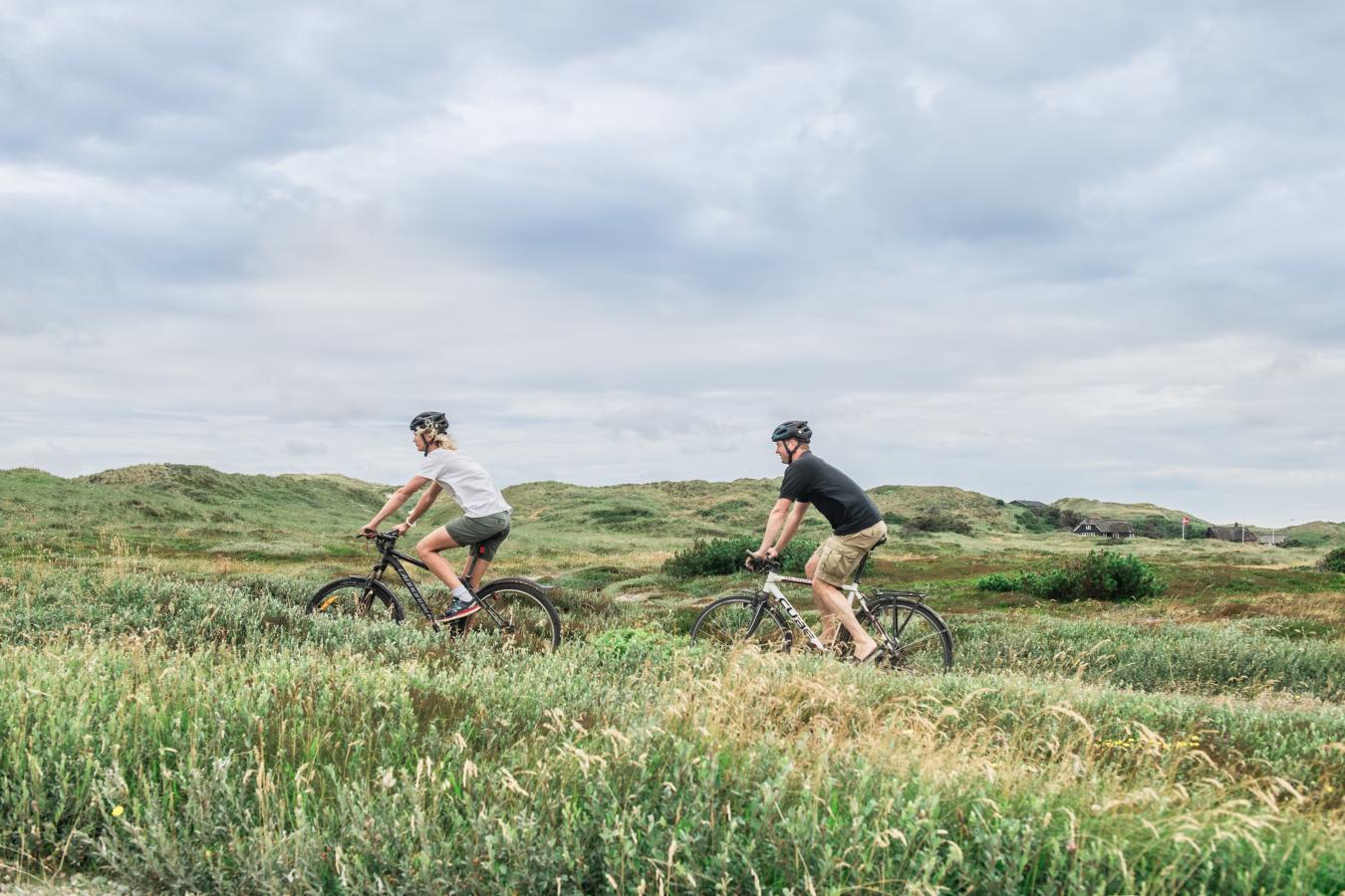 Cycling at Husby Klitplantage, West Jutland