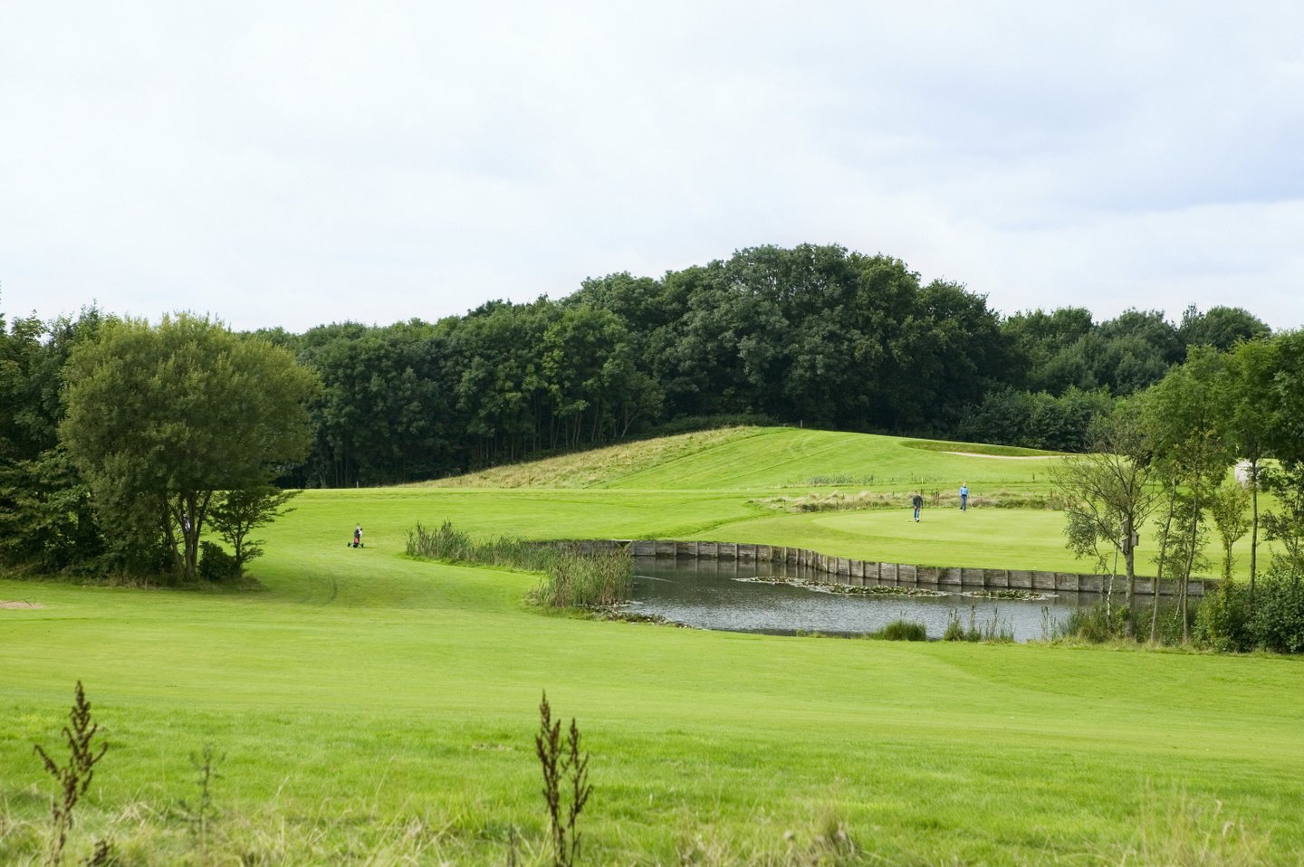 Golf course in South Jutland