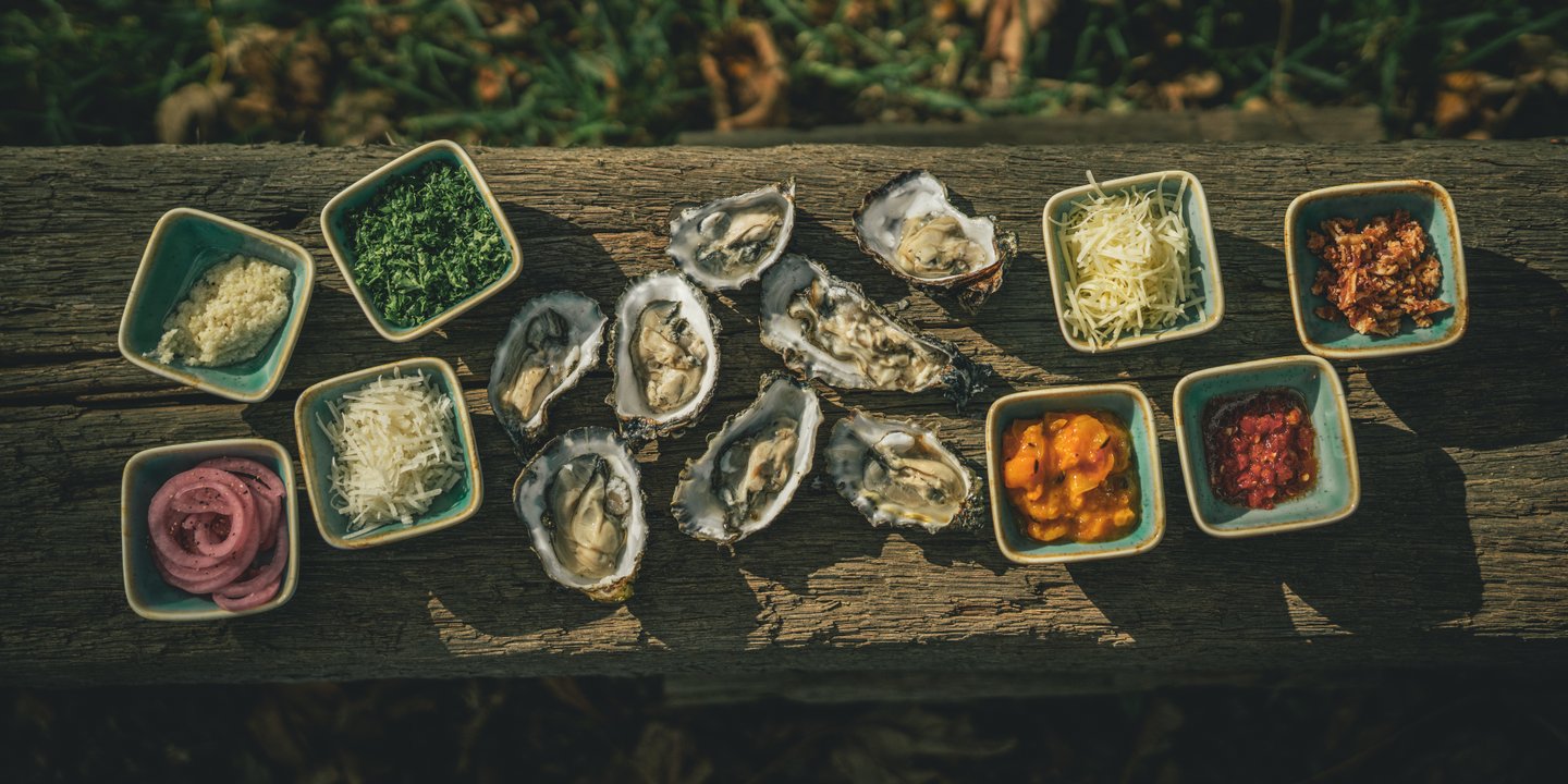 Oyster plate at Vadehavscentret, Wadden Sea 