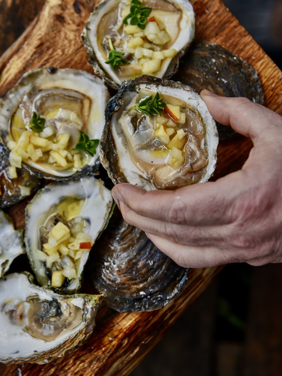 Oyster dish at Limfjorden in North Jutland, Denmark