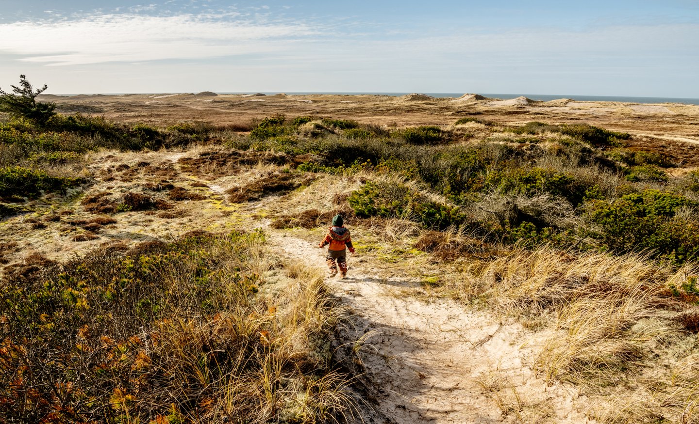 Child in the dunes at Klitmøller, North Jutland