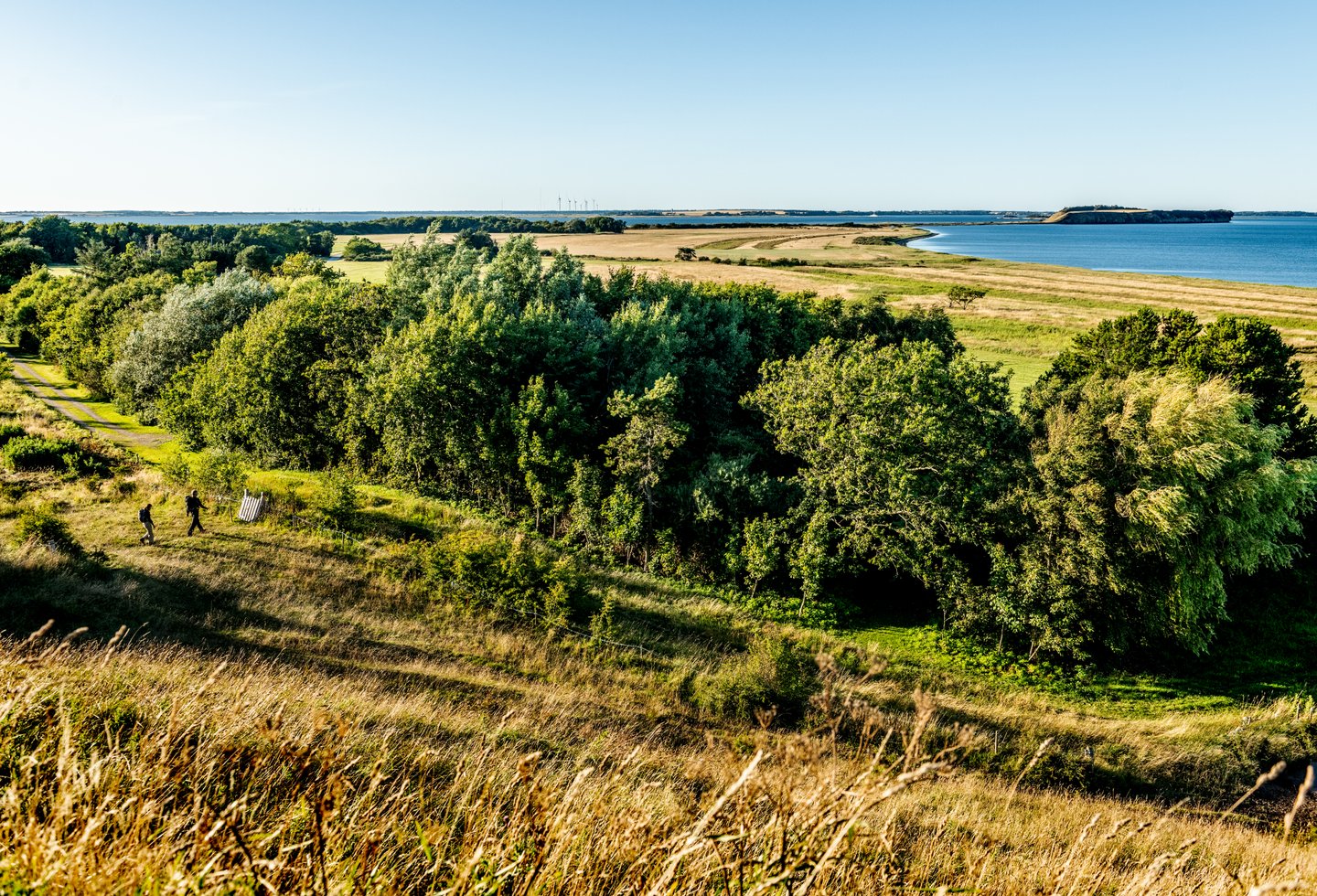 Hiking on island Mors with view over Limfjord, North Jutland in Denmark