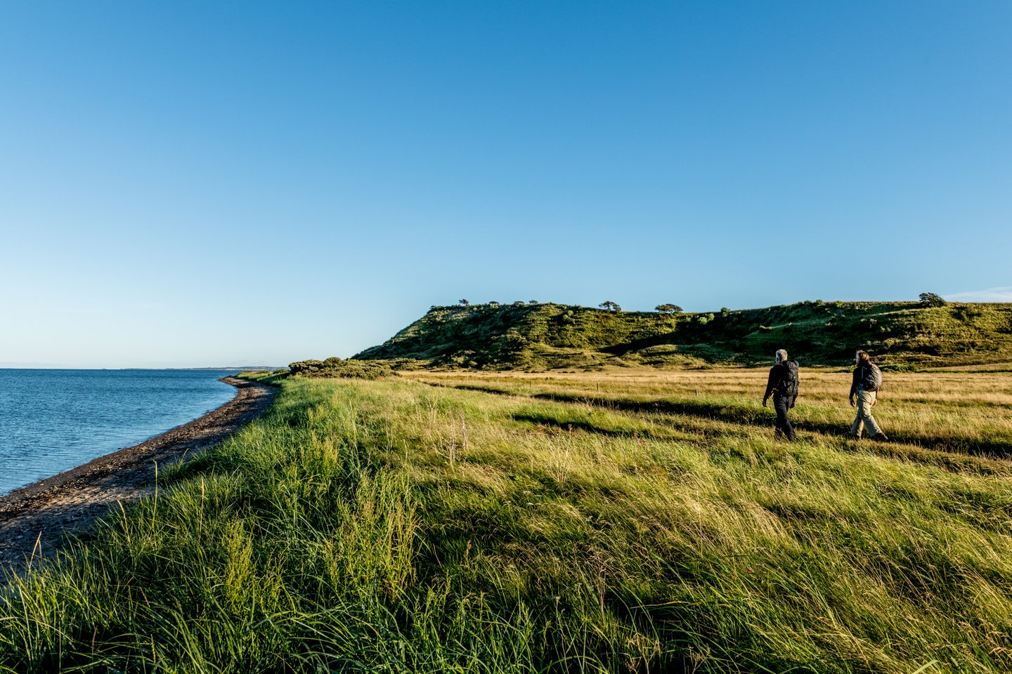 Hiking on island Mors in Limfjord, North Jutland in Denmark