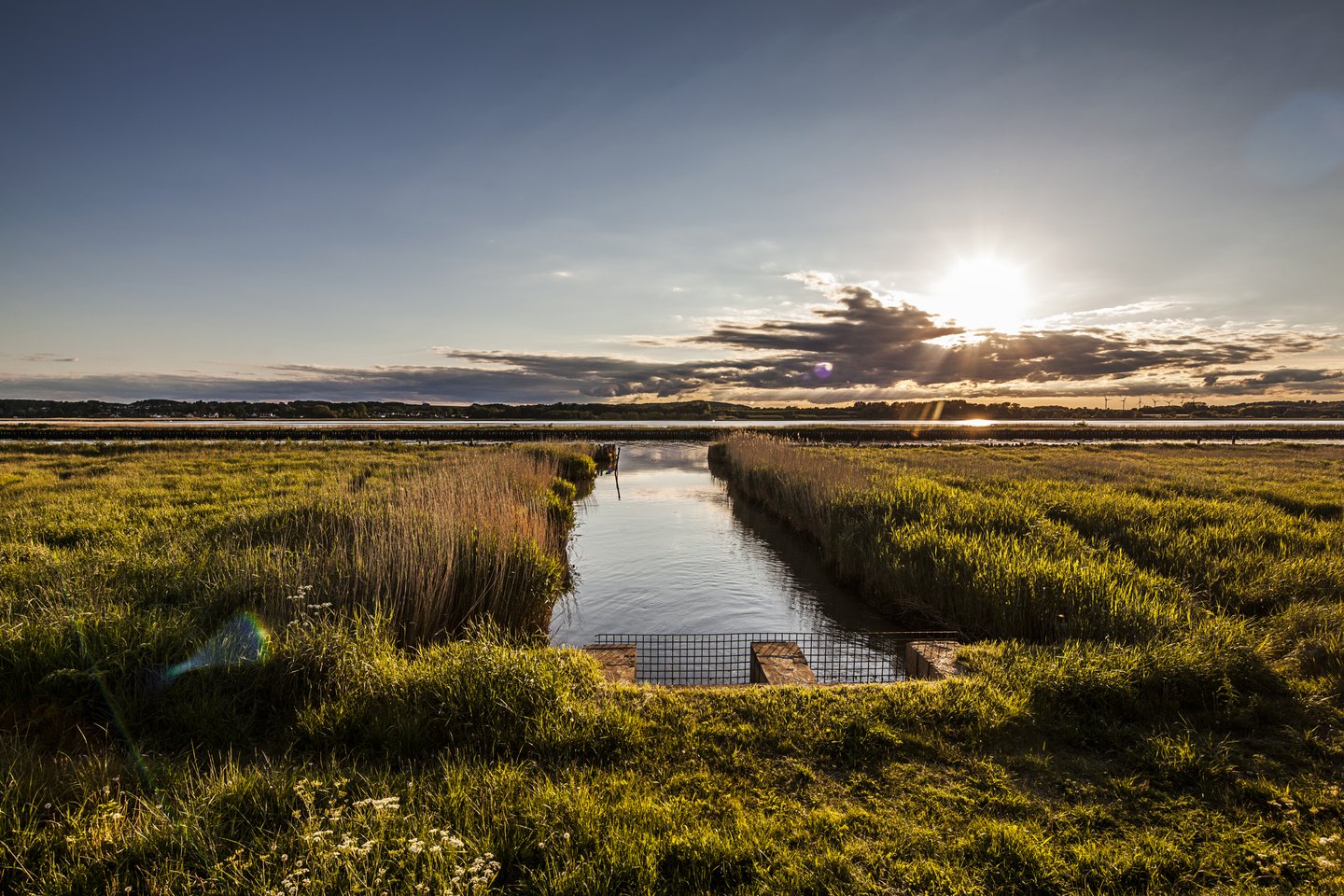 Kanaløen at Randers Fjord nature park in Denmark