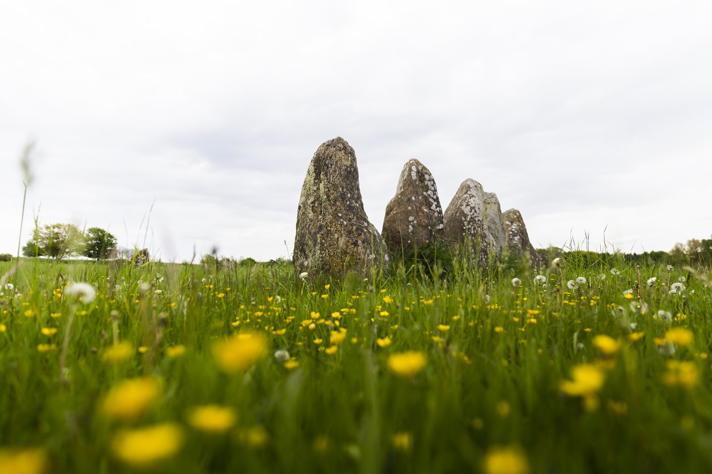 Ontdek de nationale parken van Denemarken, zoals Skjoldungernes Land