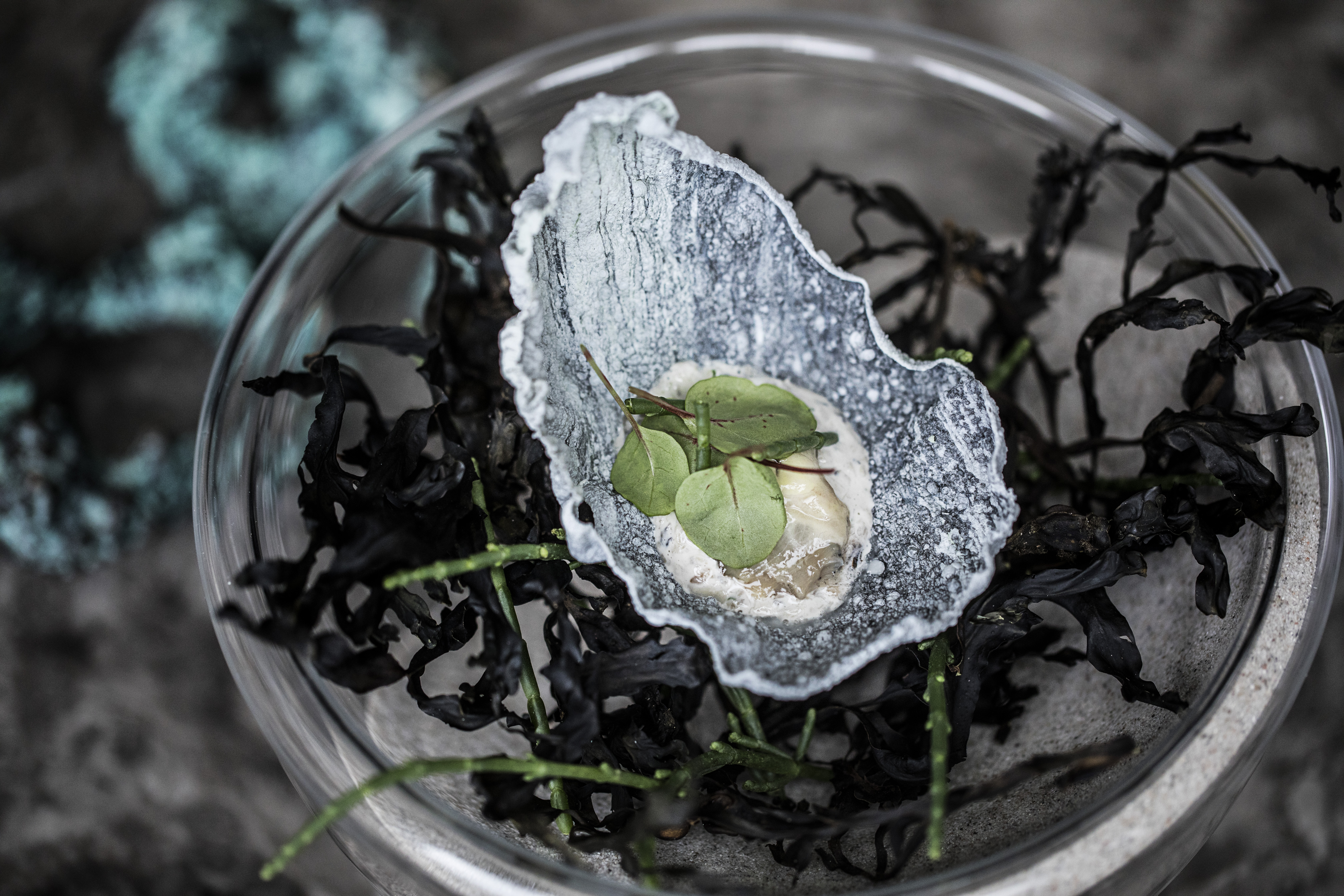 Frederikshøj restaurant in Aarhus