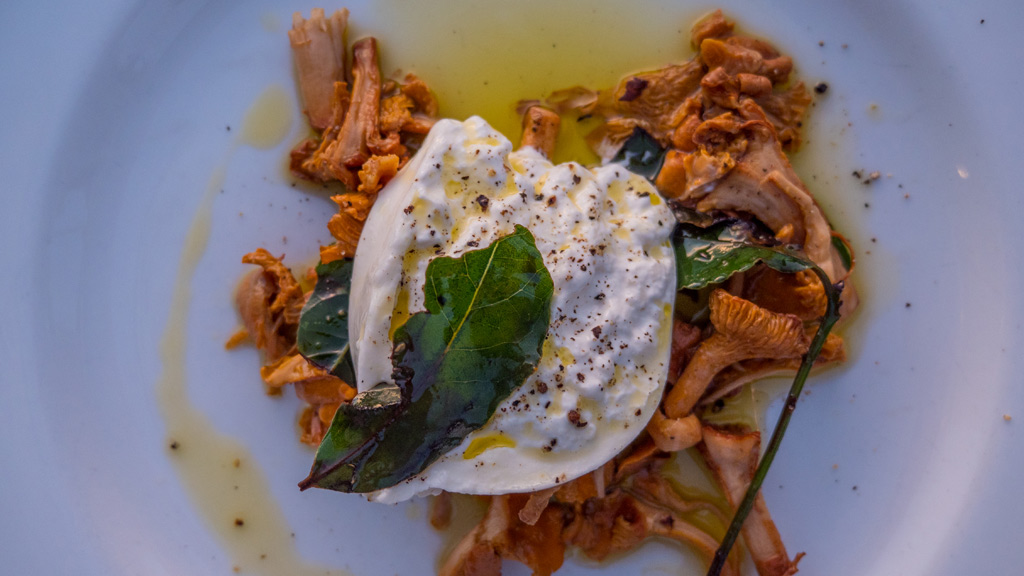 kantareller og burrata fra restaurant Famo Metro i København