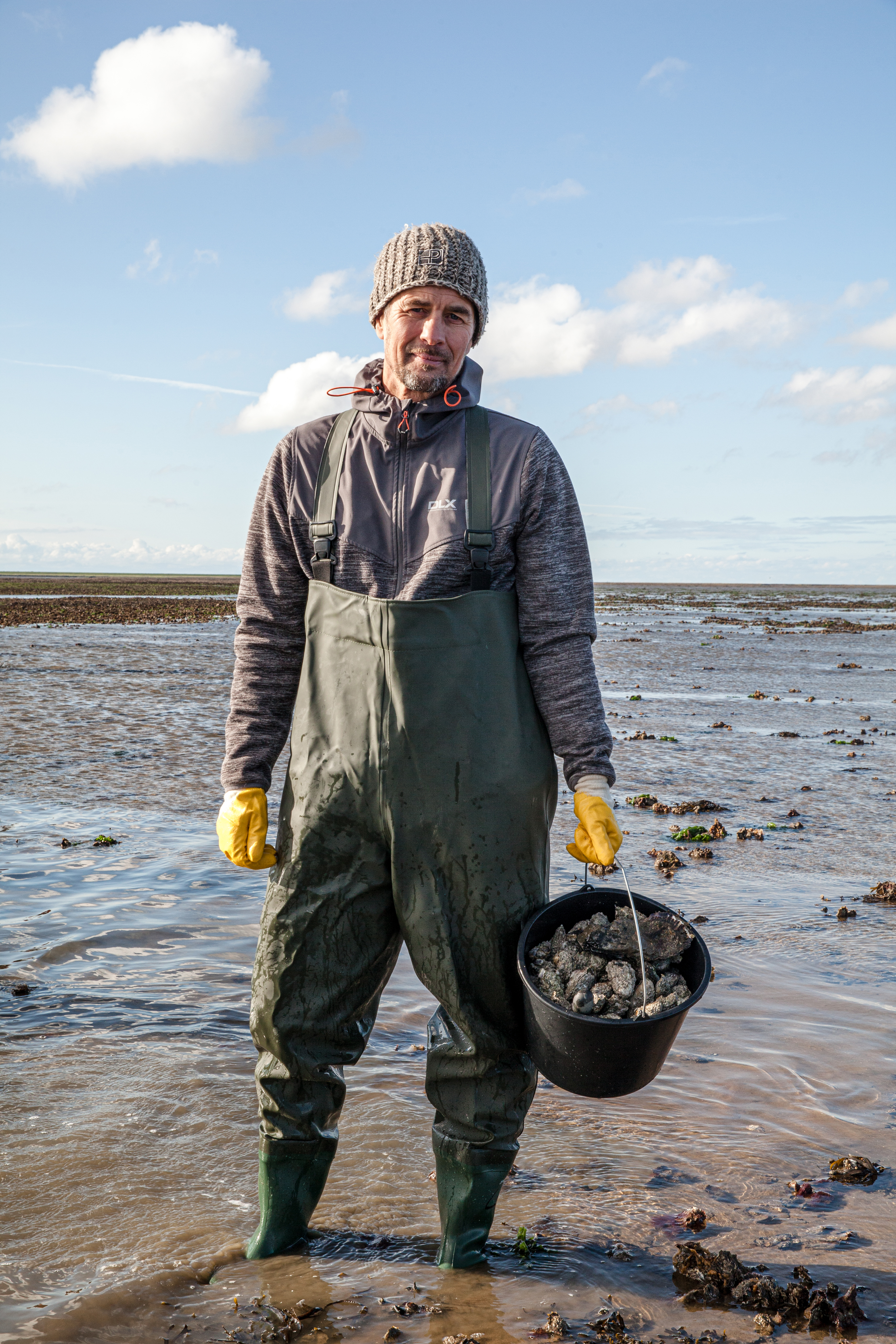 Picture of a man with bucket of oysters at Vadehavet