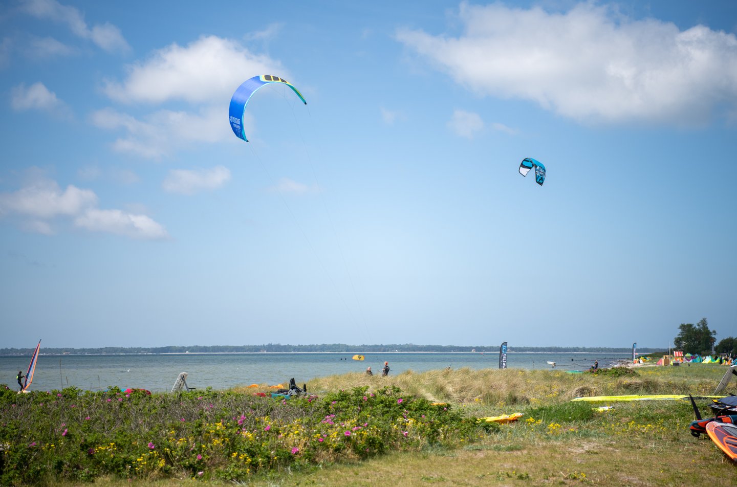 kitesurfere ved Lynæs, Nordsjælland, Danmark