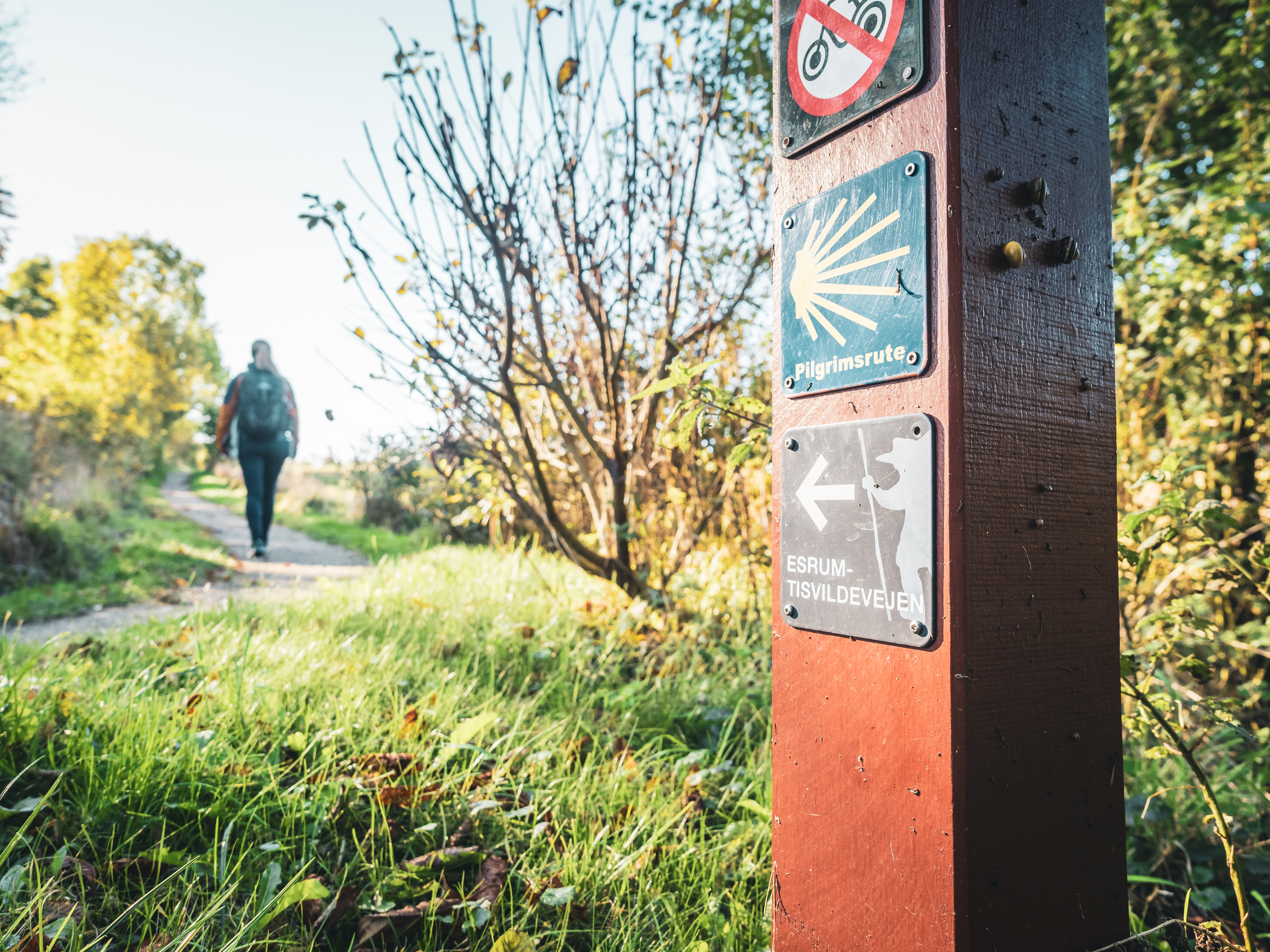 The hiking route Tisvildevejen