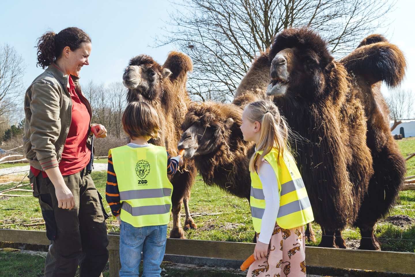 Ga je naar LEGOLAND® Billund Resort? Bezoek ook het bijbehorende Givskud Zoo