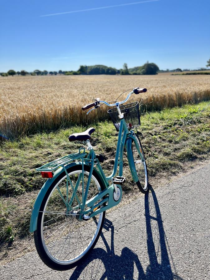 Biking Jylland