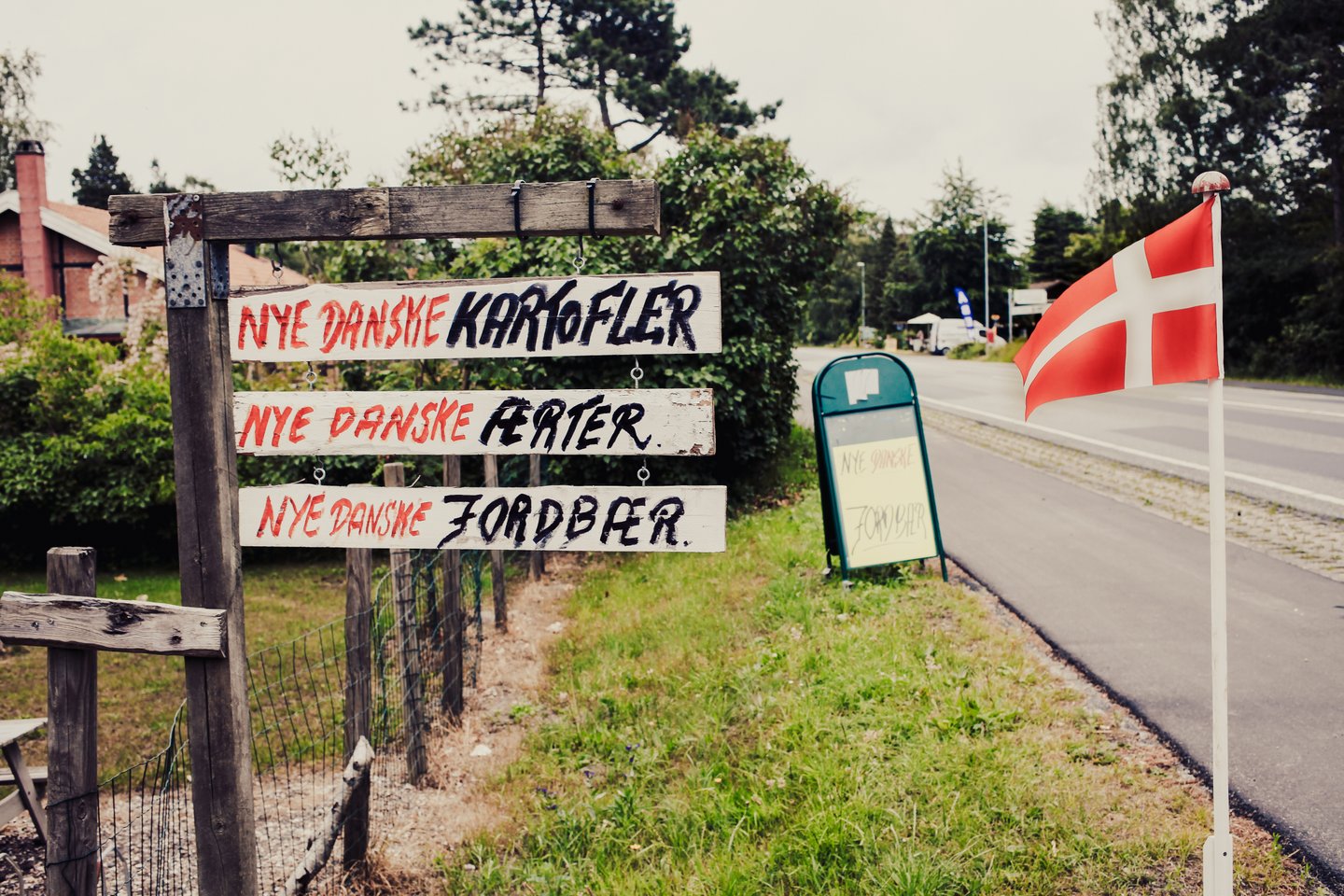 Streetside Foodstall, Denmark