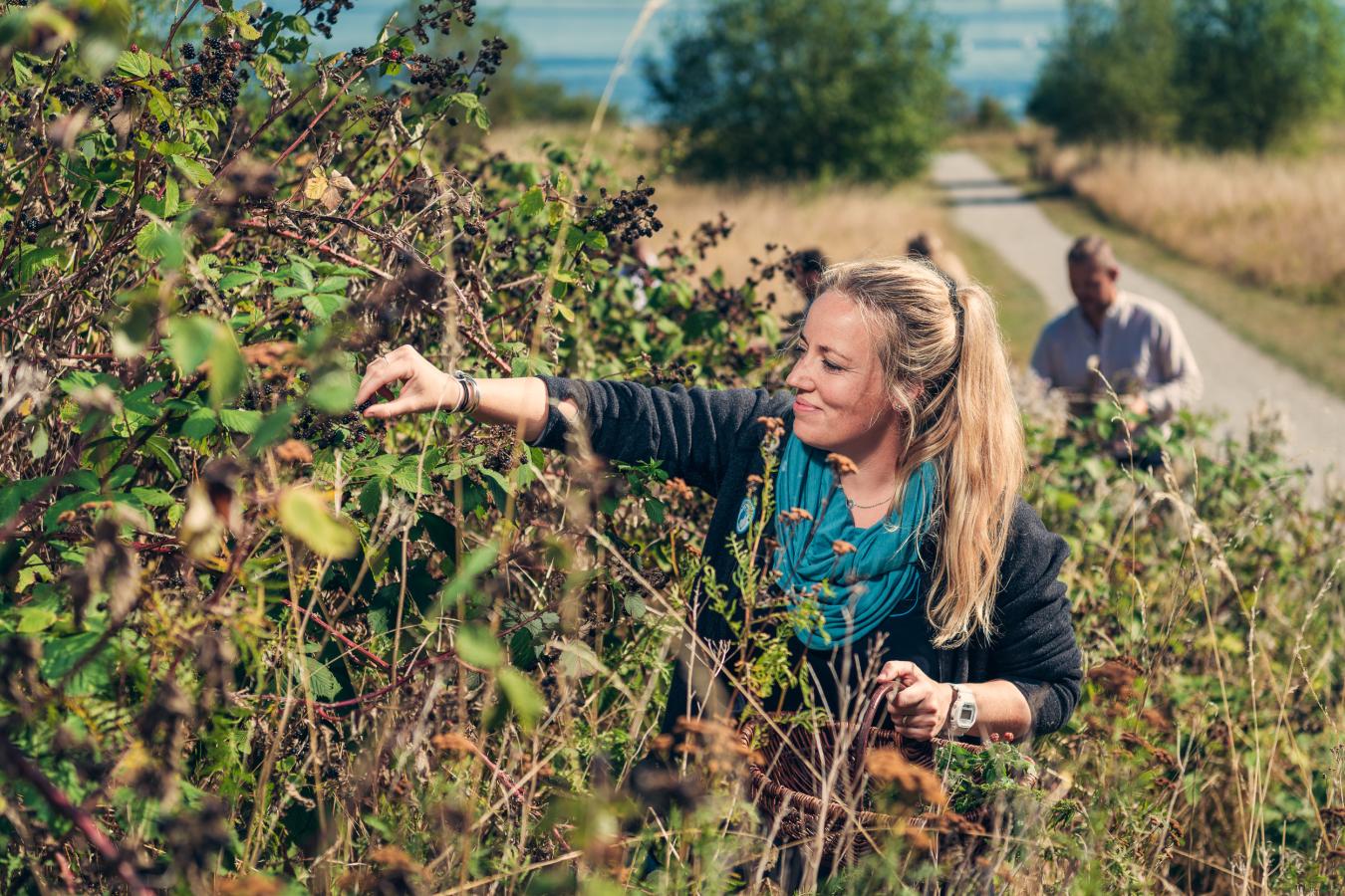 A team of people foraging in Fyn