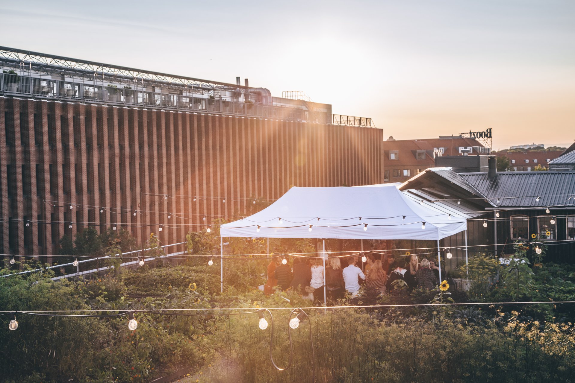 People enjoying dinner at Gro Spiseri a rooftop farm in Copenhagen