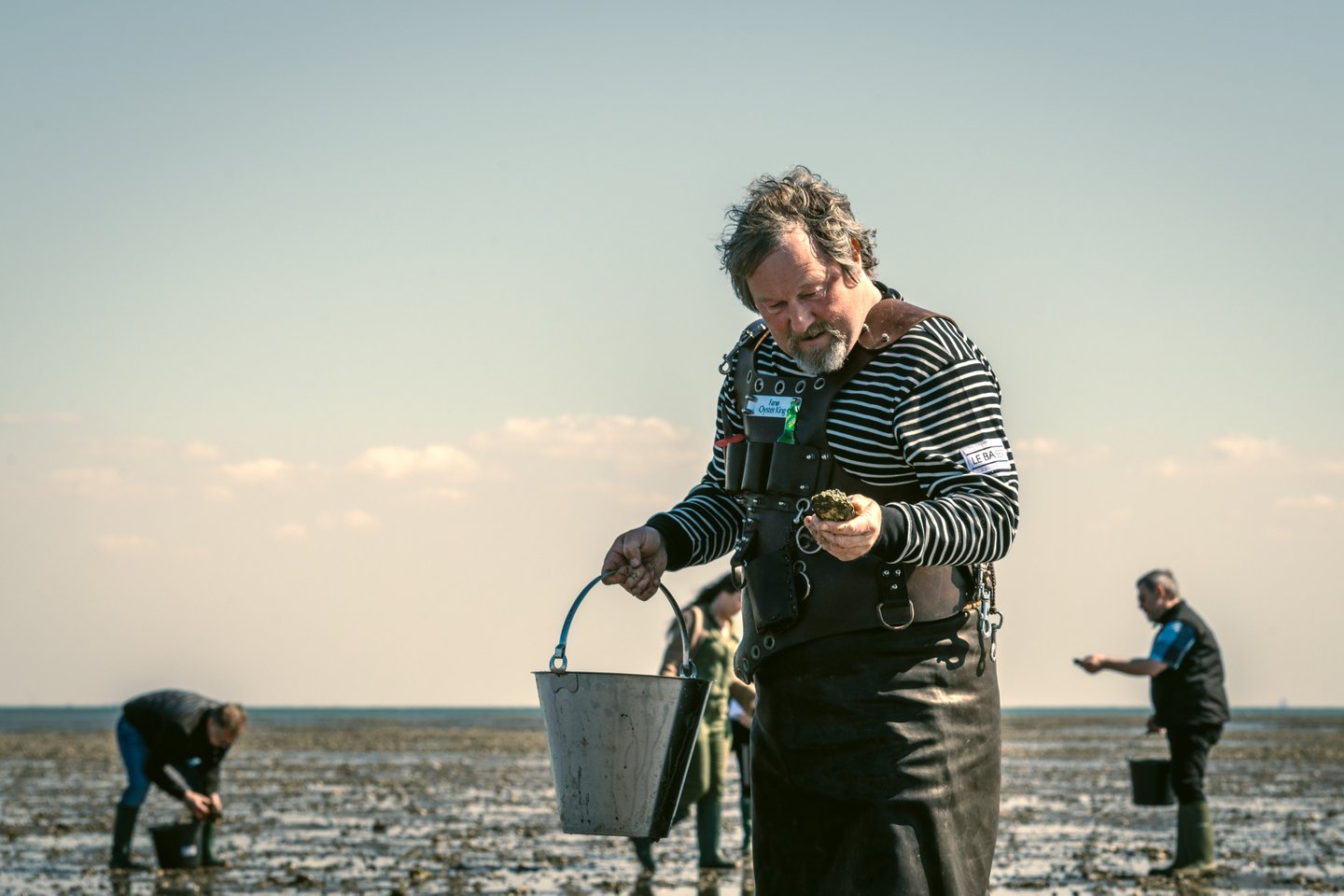 The Oyster King picking oysters in the Wadden Sea