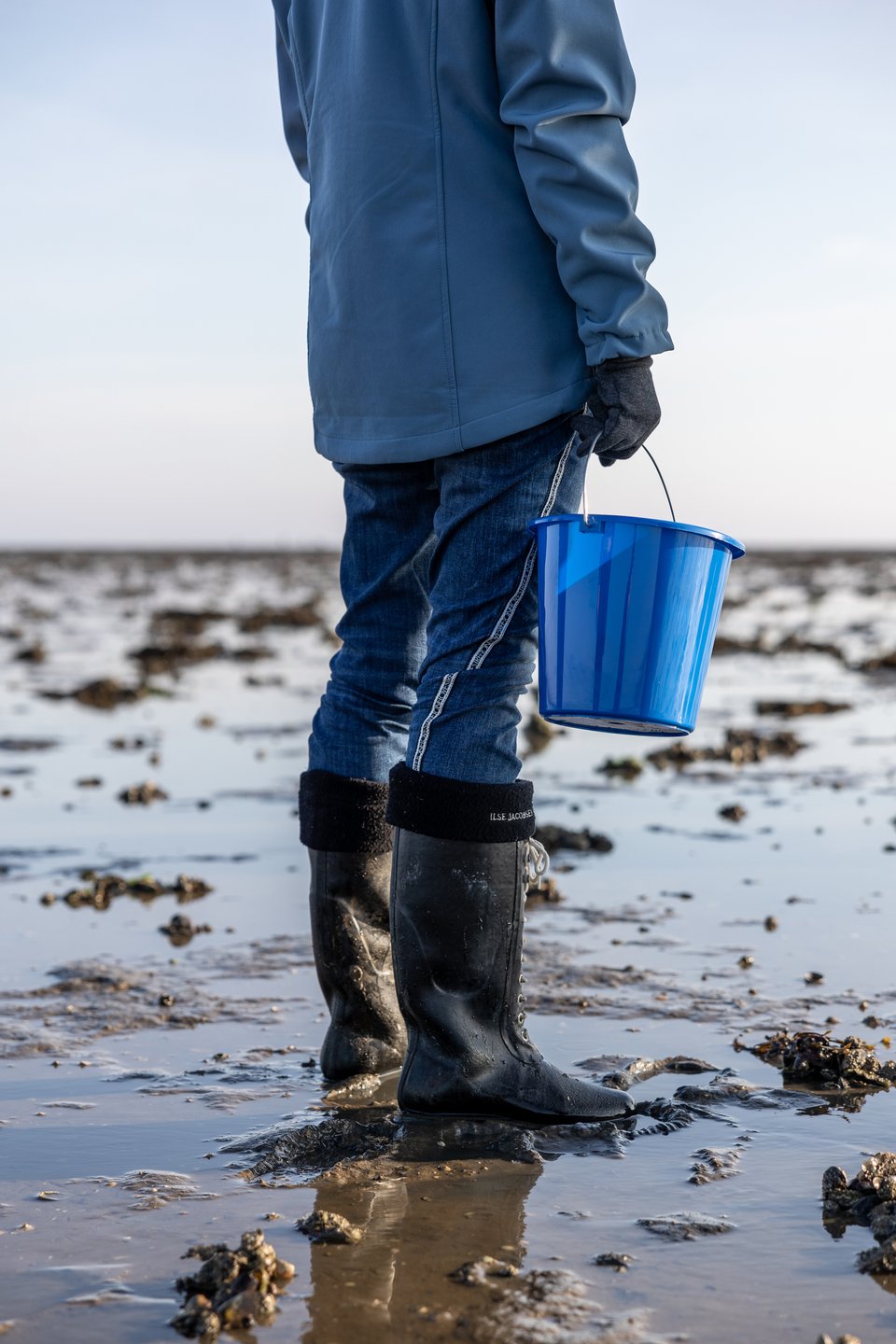 Oyster Safari on Rømø, Denmark