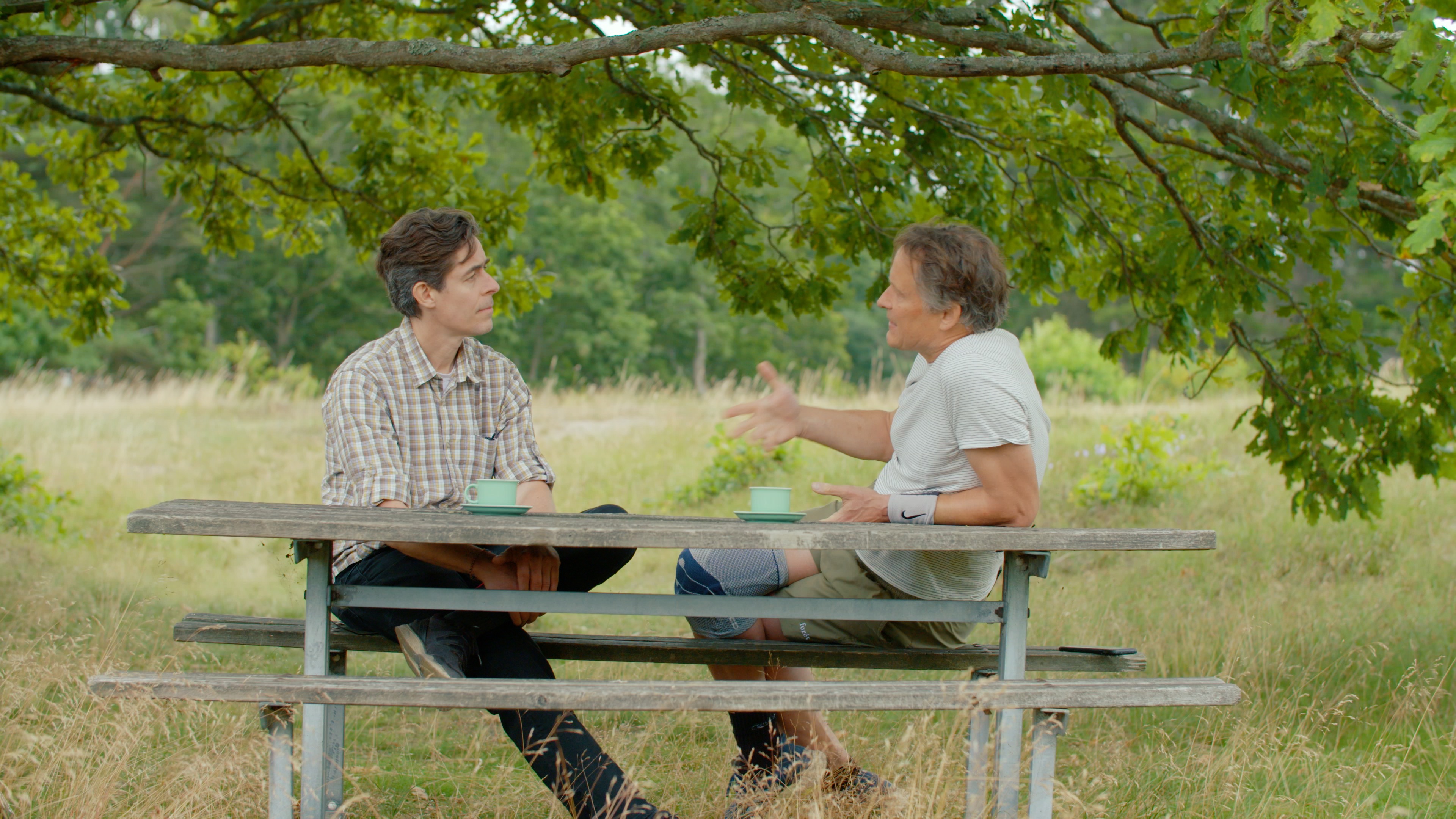 Foob Principle J Kane og C Meyer