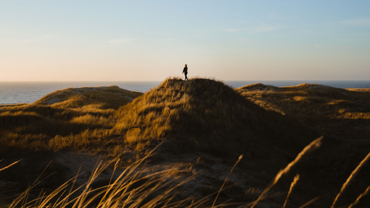 Picture of the nature reserve near Henne Strand