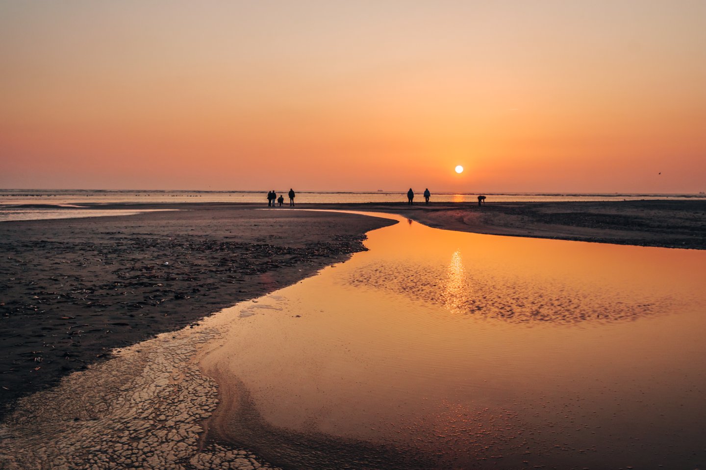 Skallingen Beach at Blåvand, West Jutland