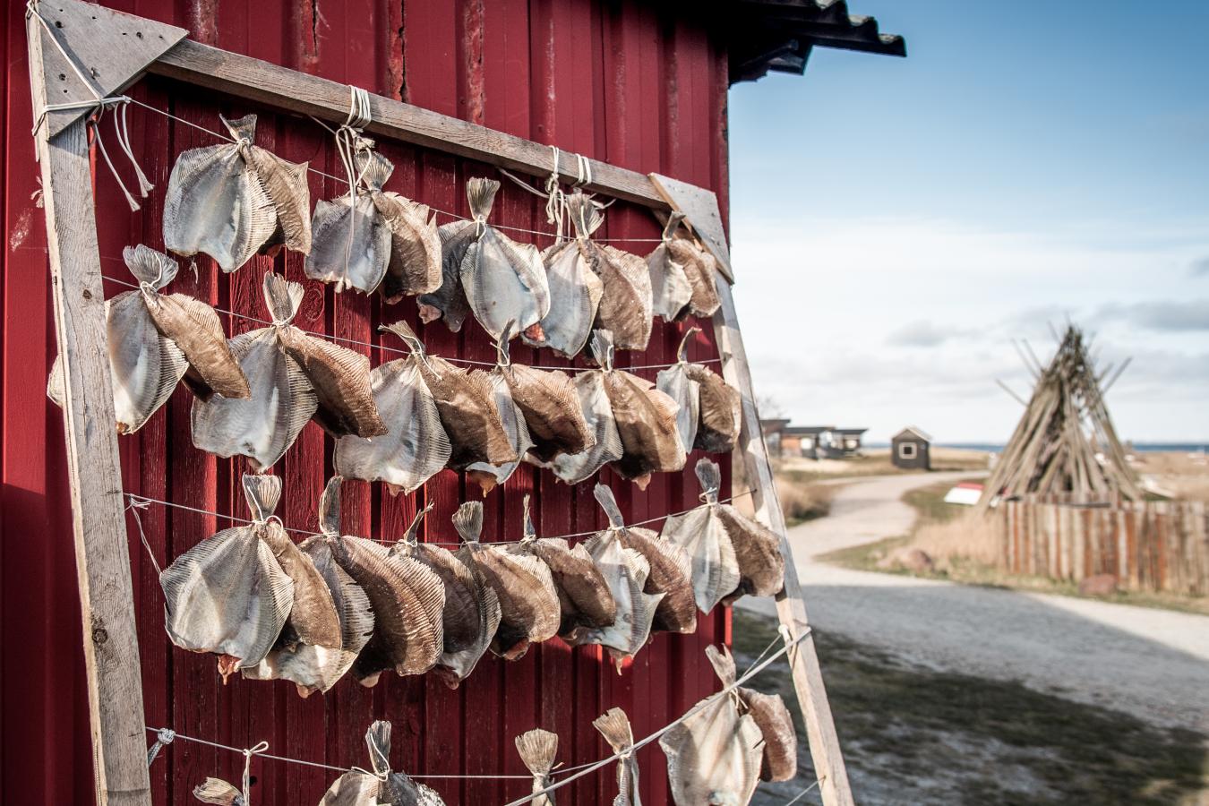Vesterhavet Collector Bakskuld Dried Fish West Jutland