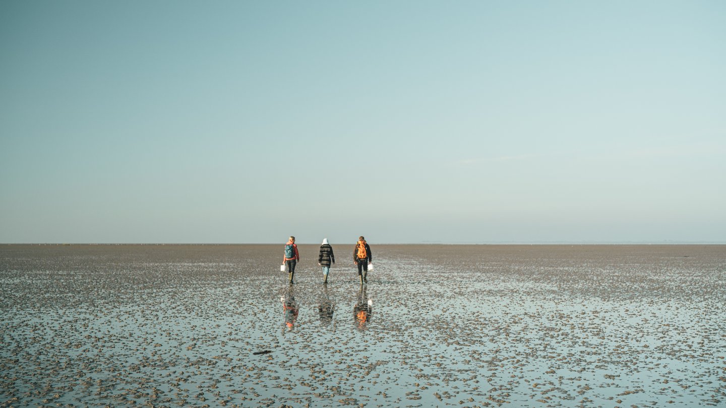 Wadden Sea Denmark Vacation Vadehavet