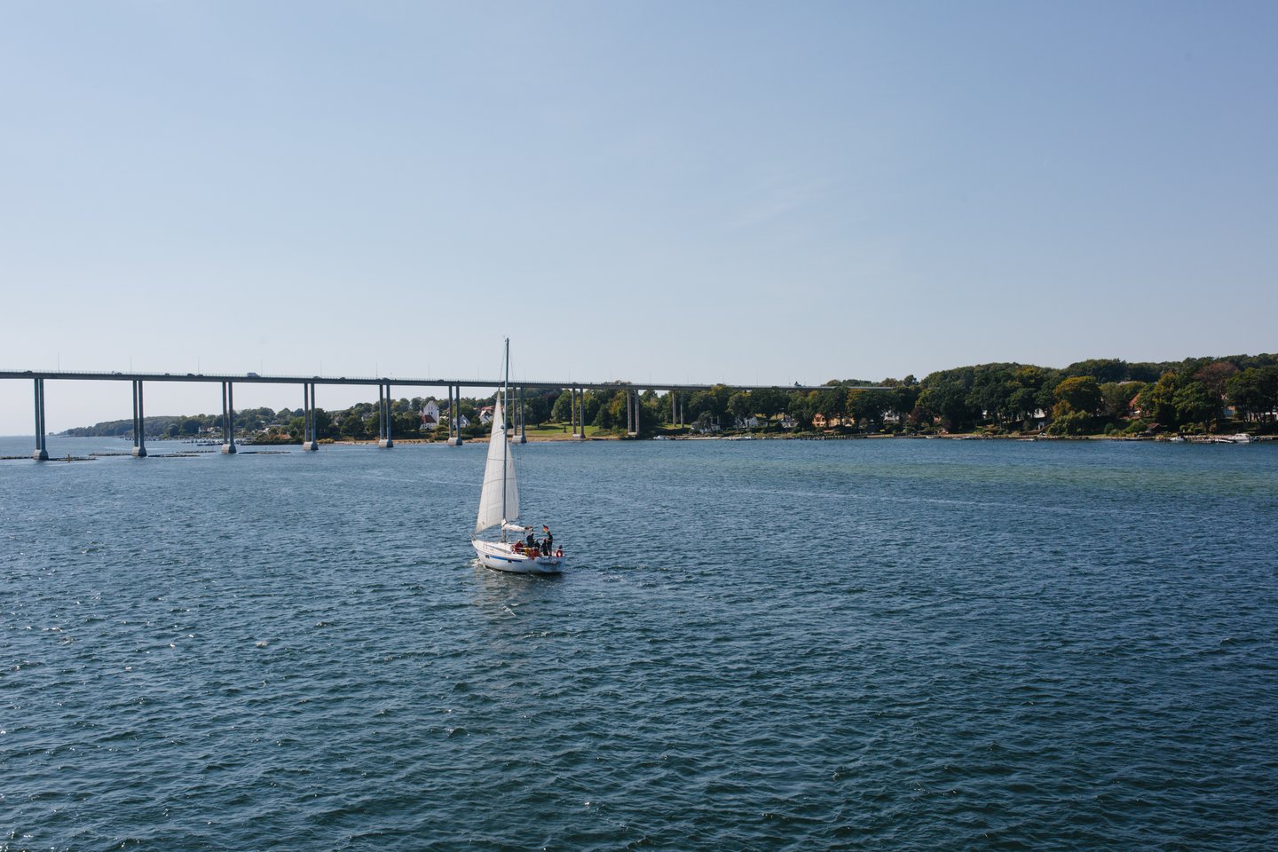 Sailing in Svendborg, Fyn