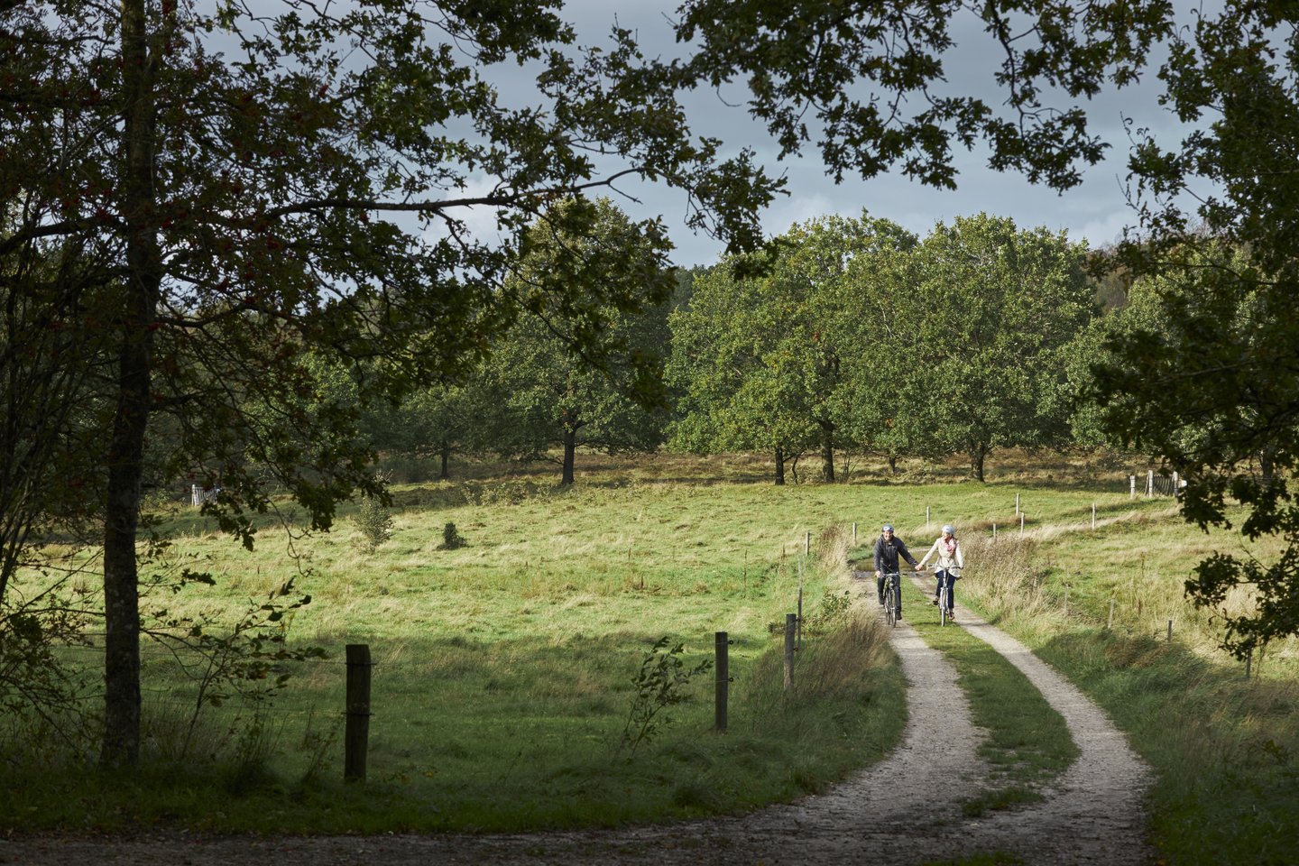 VisitVejle Bike Hærvejen Vejle Jutland 