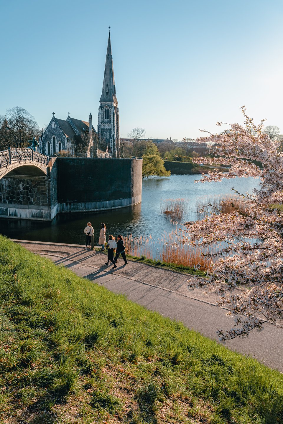 Spring Copenhagen Cherry Blossom St Alban's Church