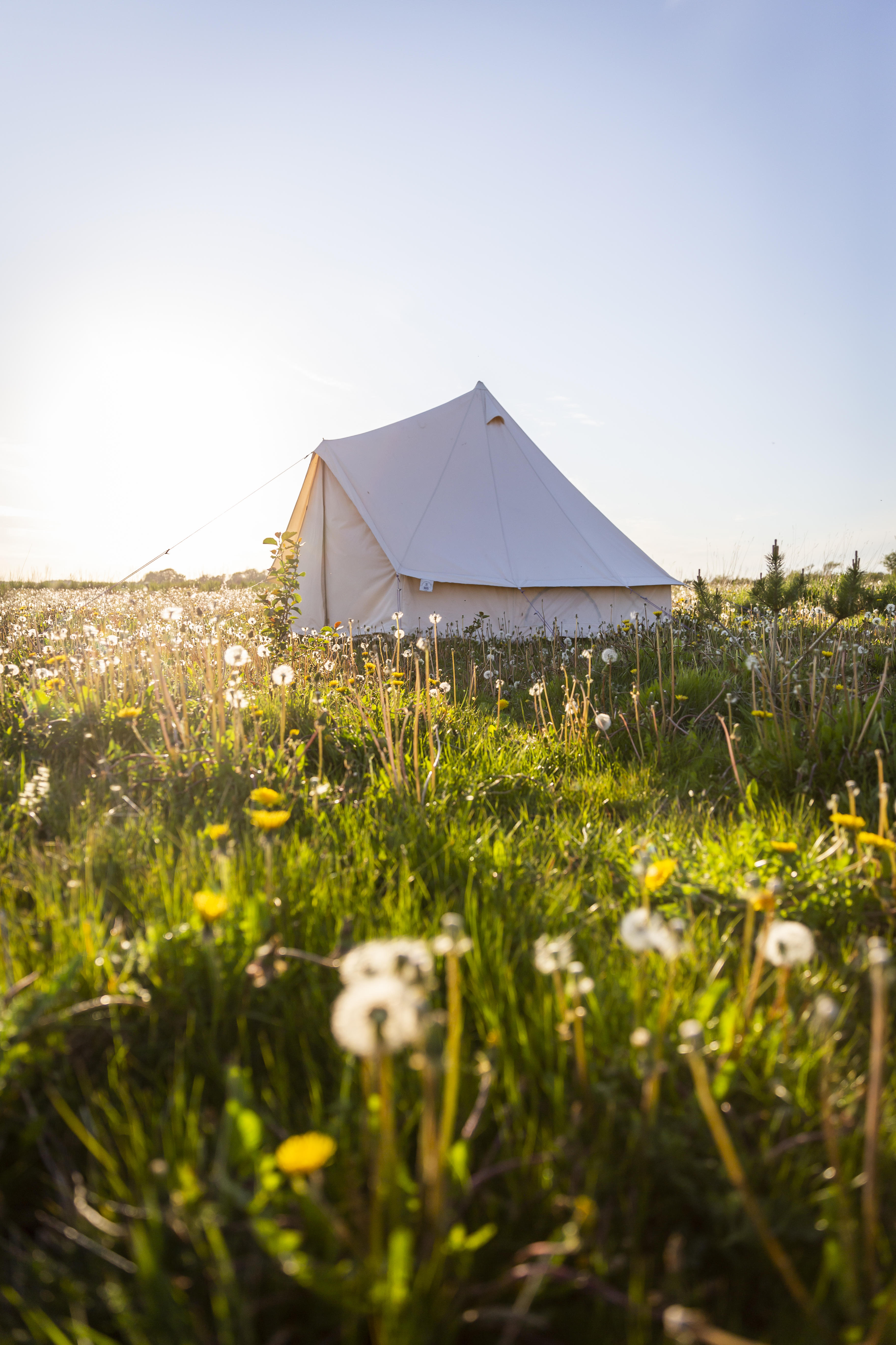 Camp in field Holmely