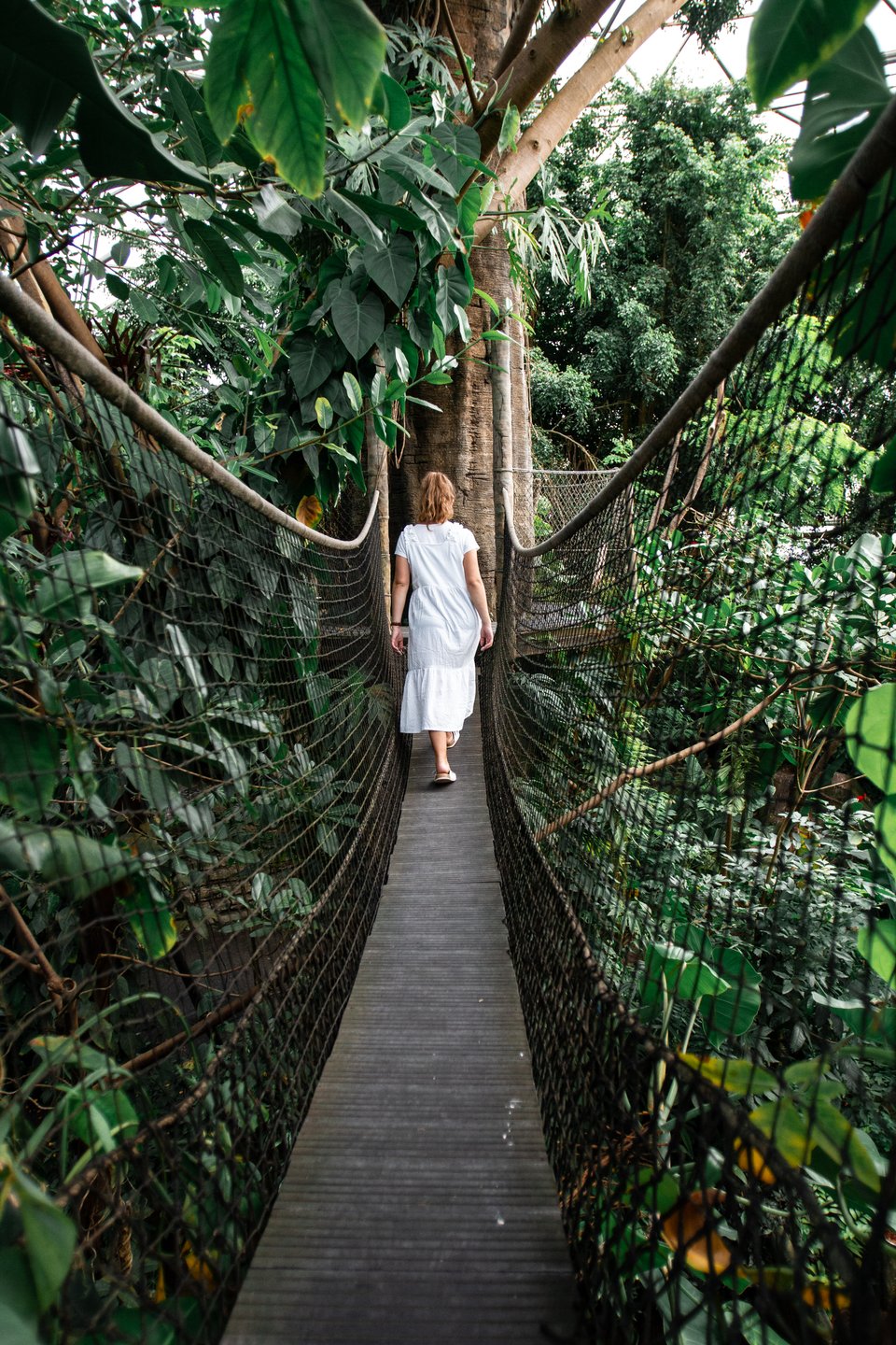 Woman walking on bridge in Randers Regenskov in Jutland
